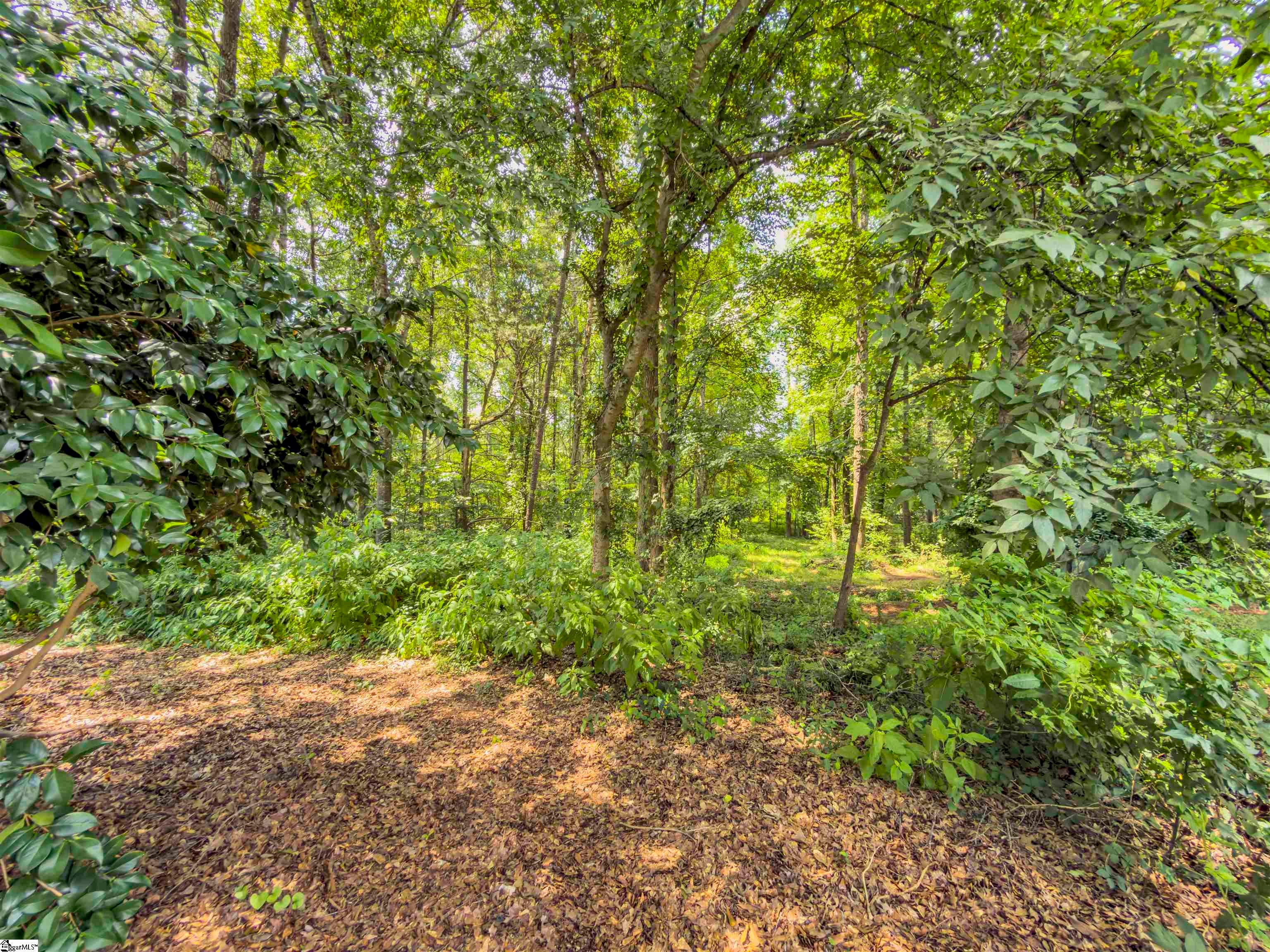 6 Peters Creek Court