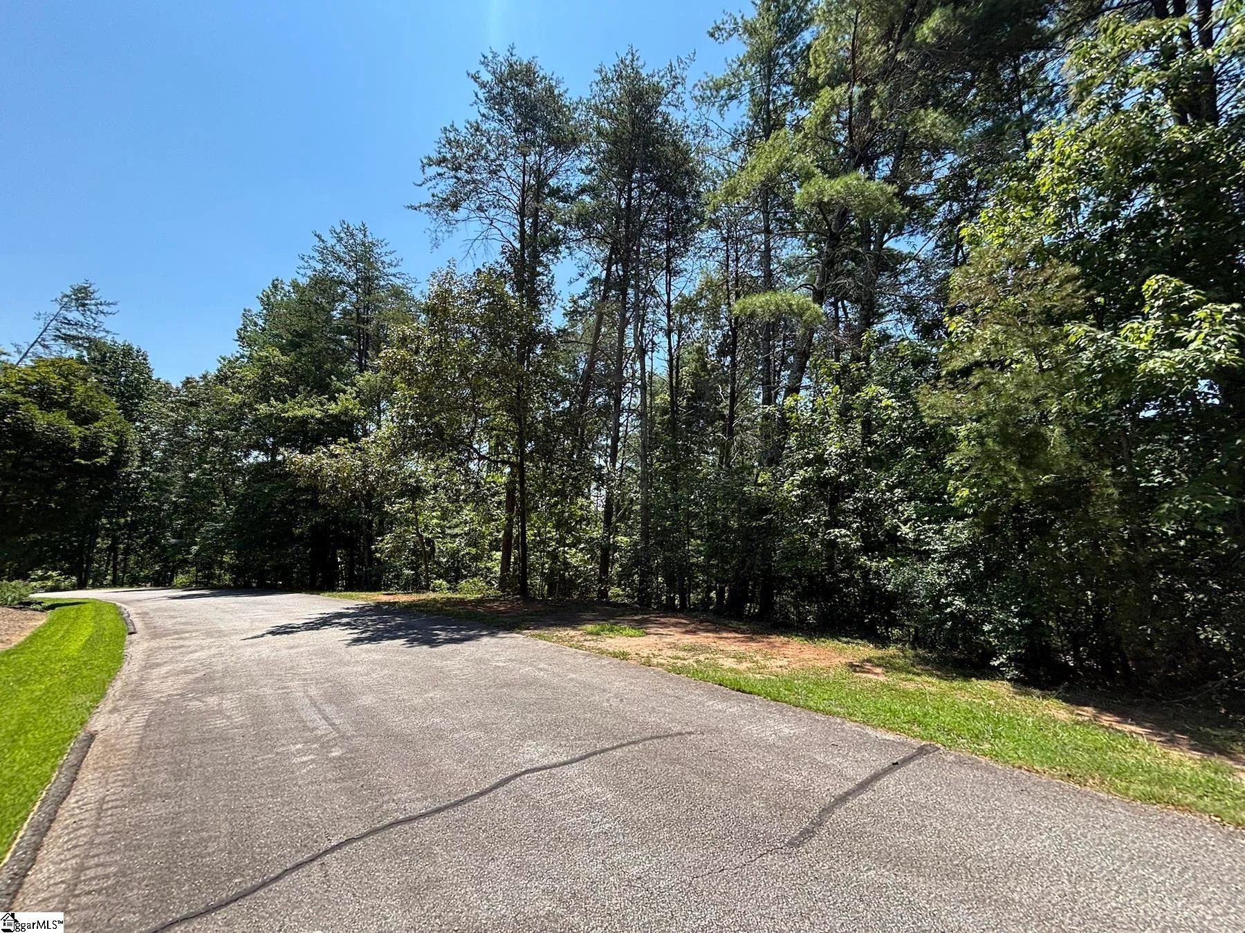 111 Sweetshrub Way