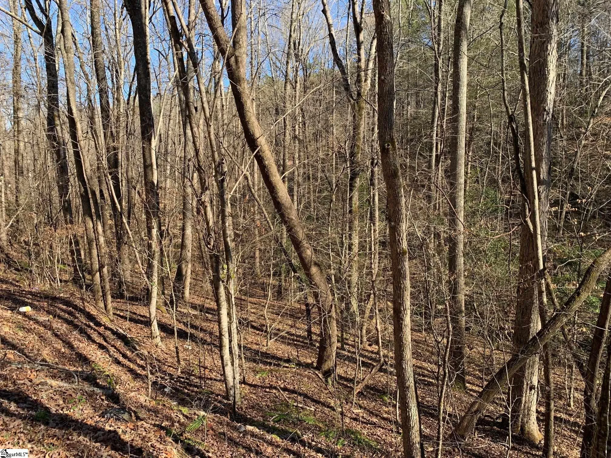 157 Saw Mill Road