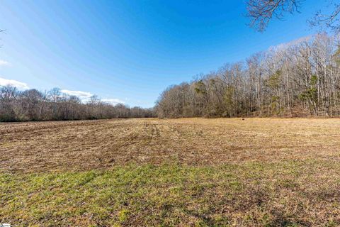 A home in Landrum