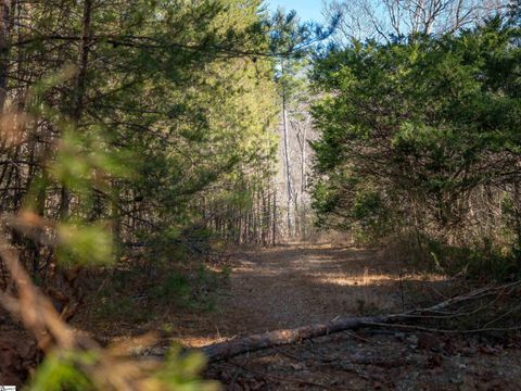 00 Pittman Road Landrum SC 29356