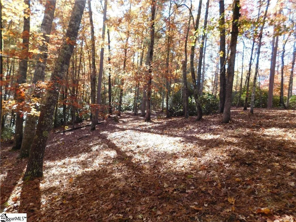 130 Cliffs Falls Parkway, Salem, SC, 29676