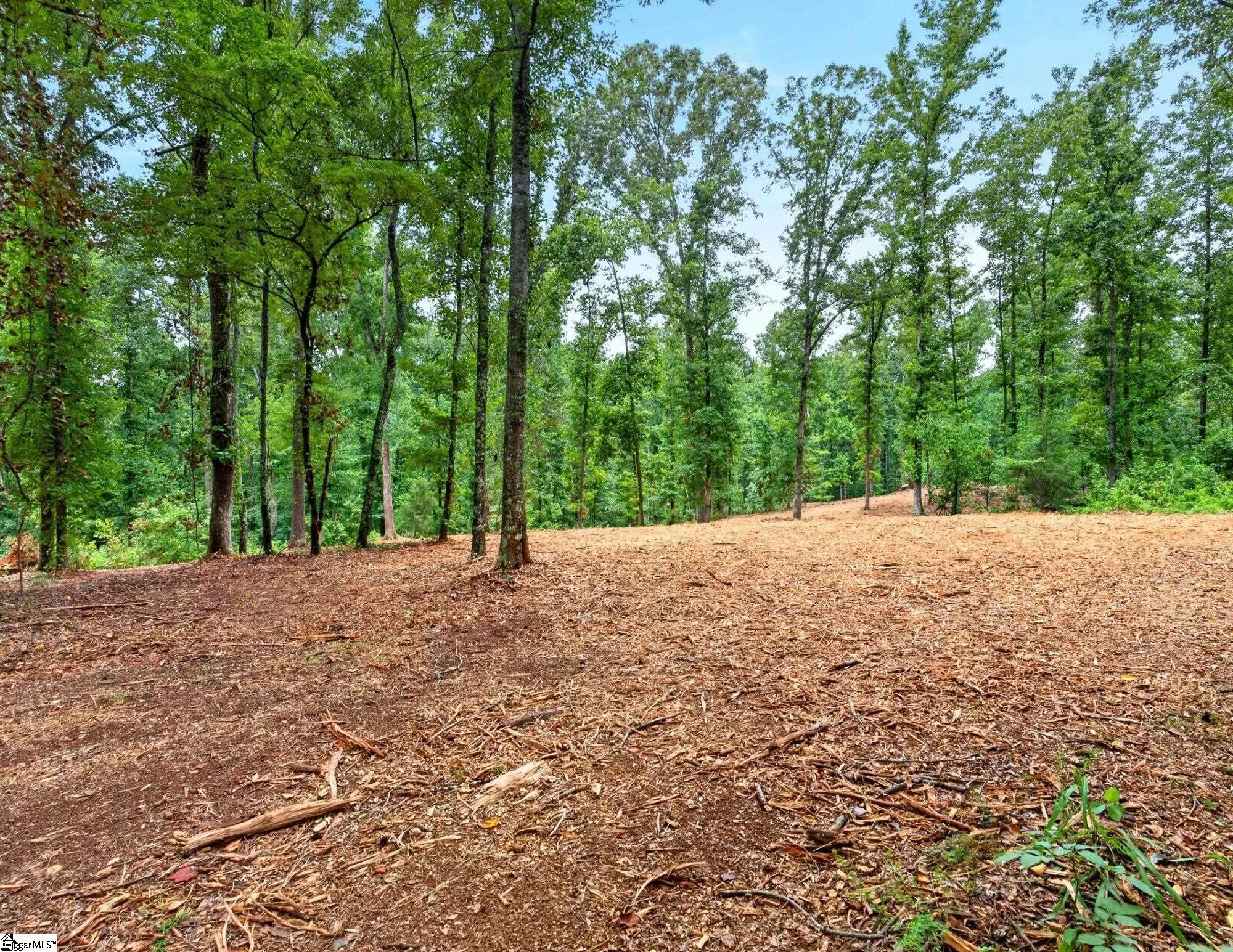 223 W Chapman Road Unit Lot 5