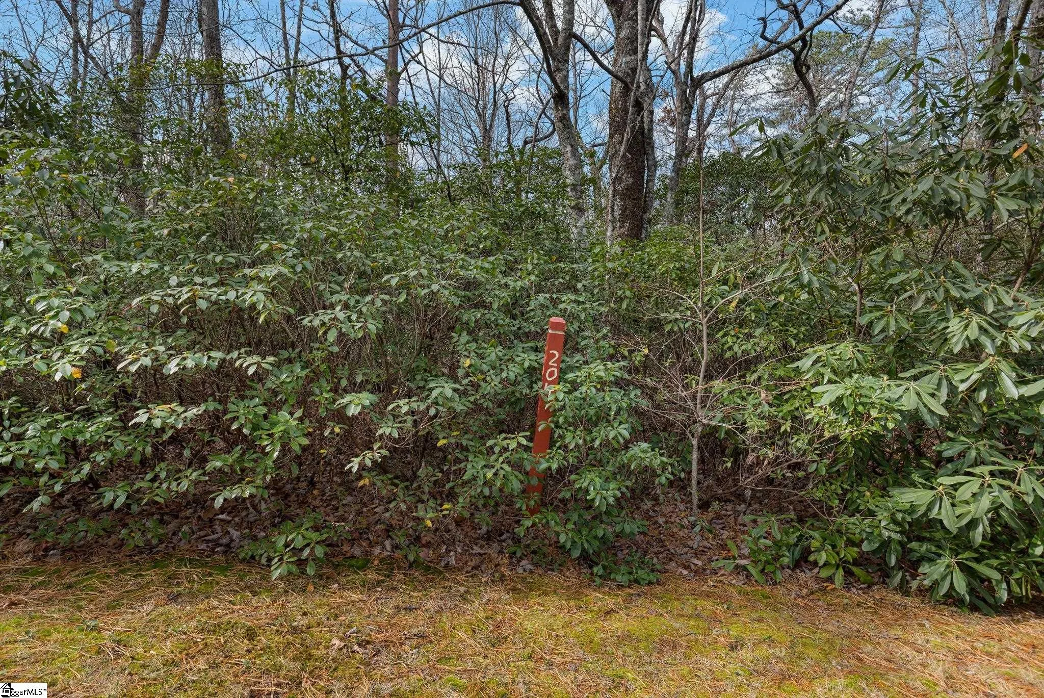 204 Conifer Falls Road