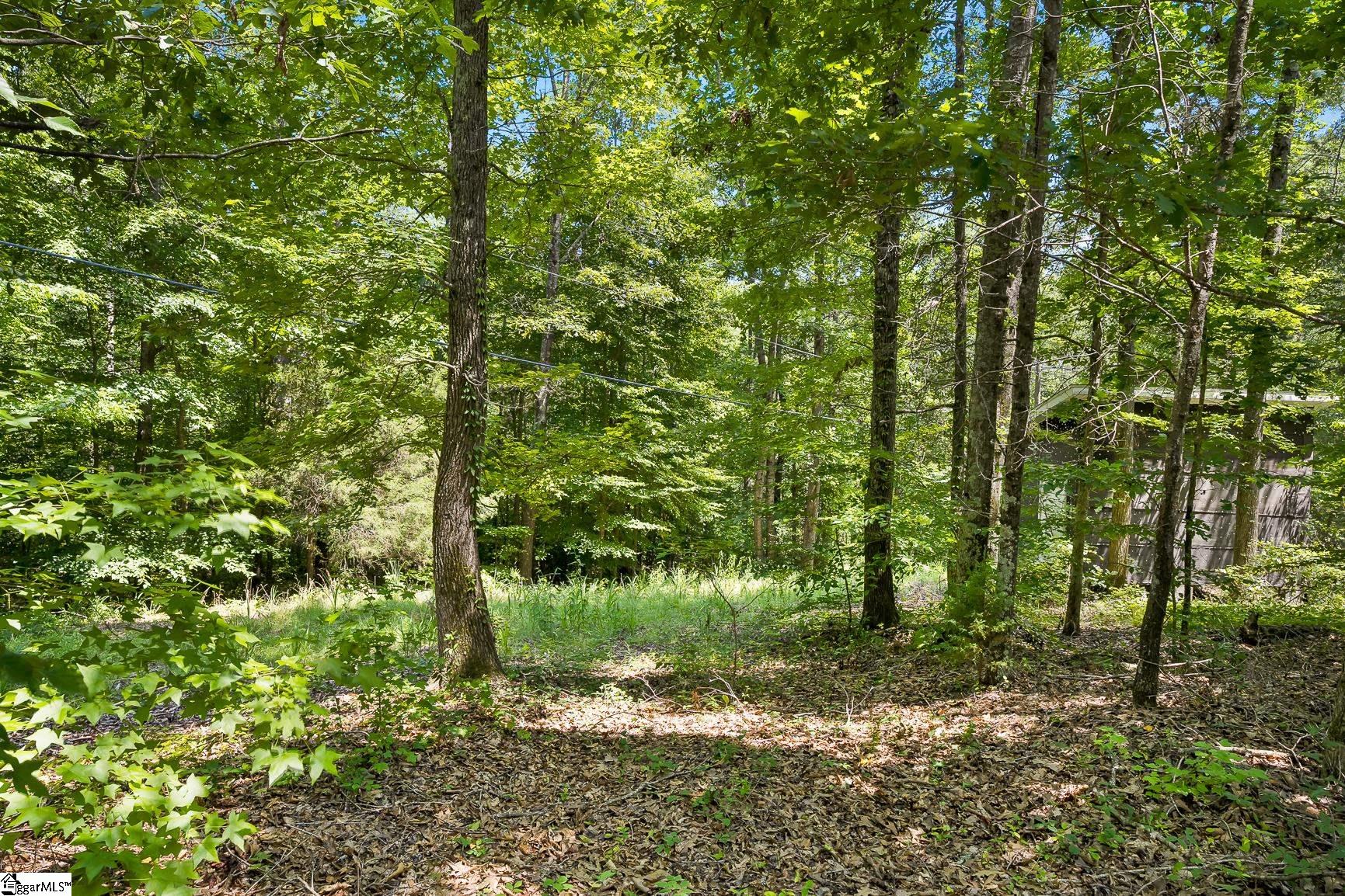 4385 Fork Shoals Road
