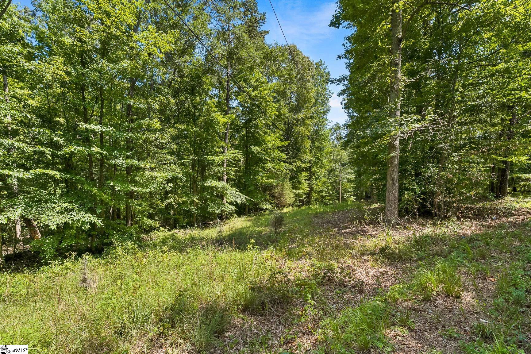 4385 Fork Shoals Road