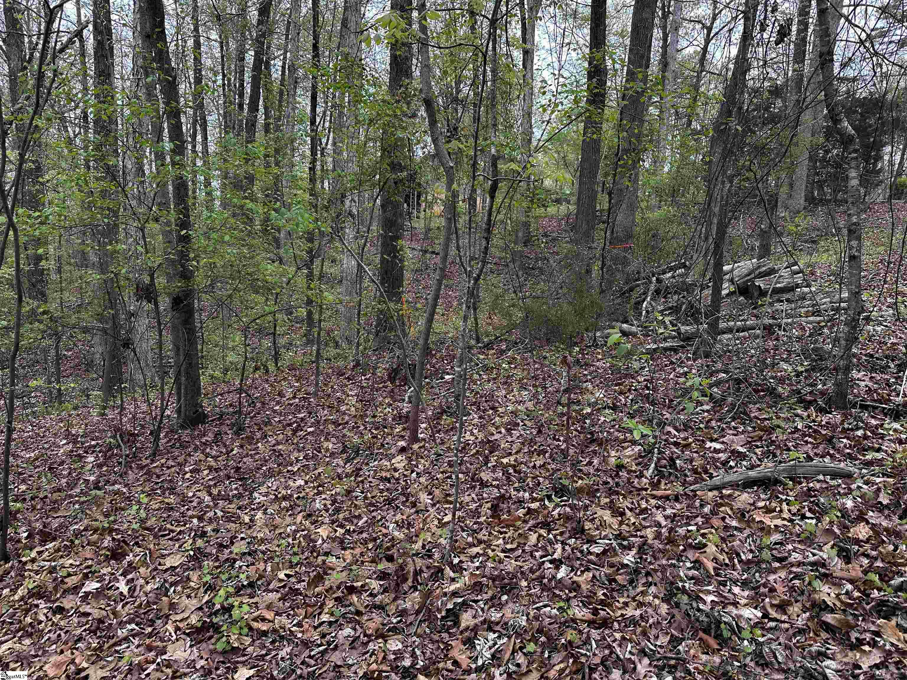 129 Hilltop Circle