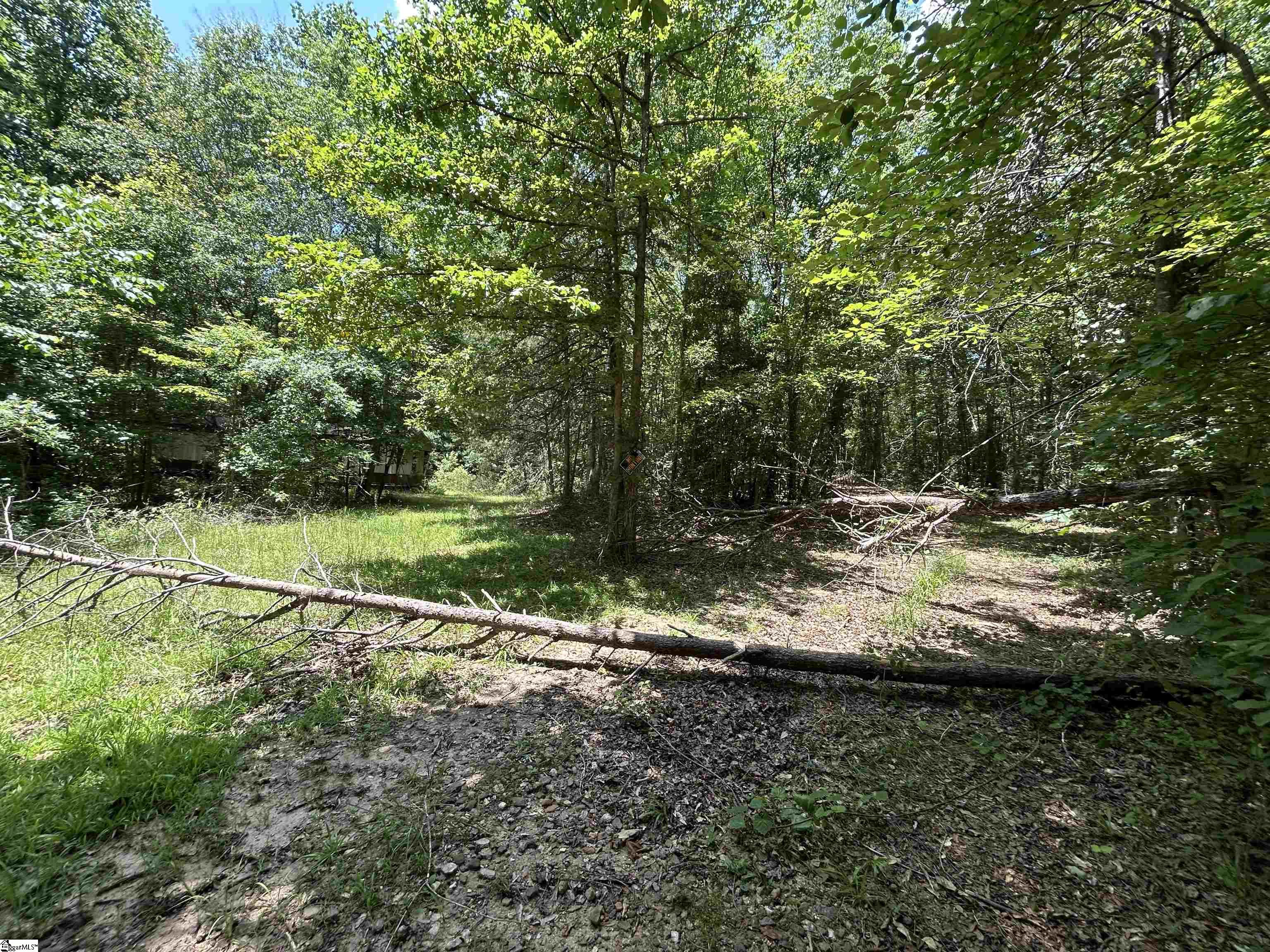 171 Henderson Trail