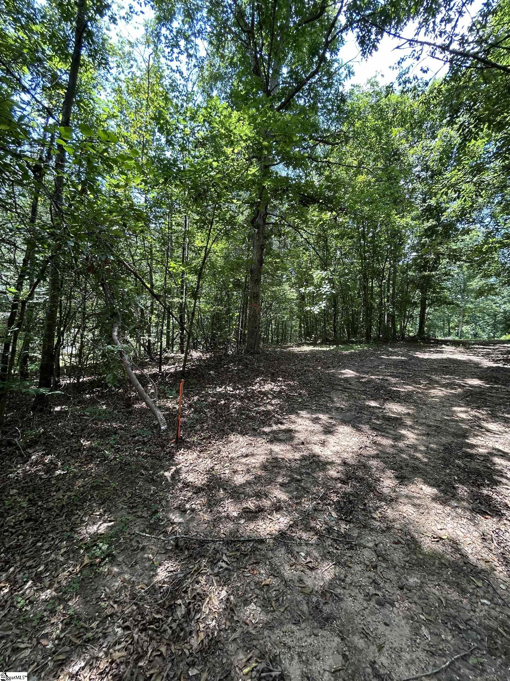 171 Henderson Trail