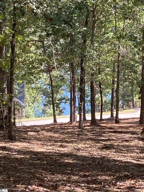 335 Long Cove Trail Salem SC 29676