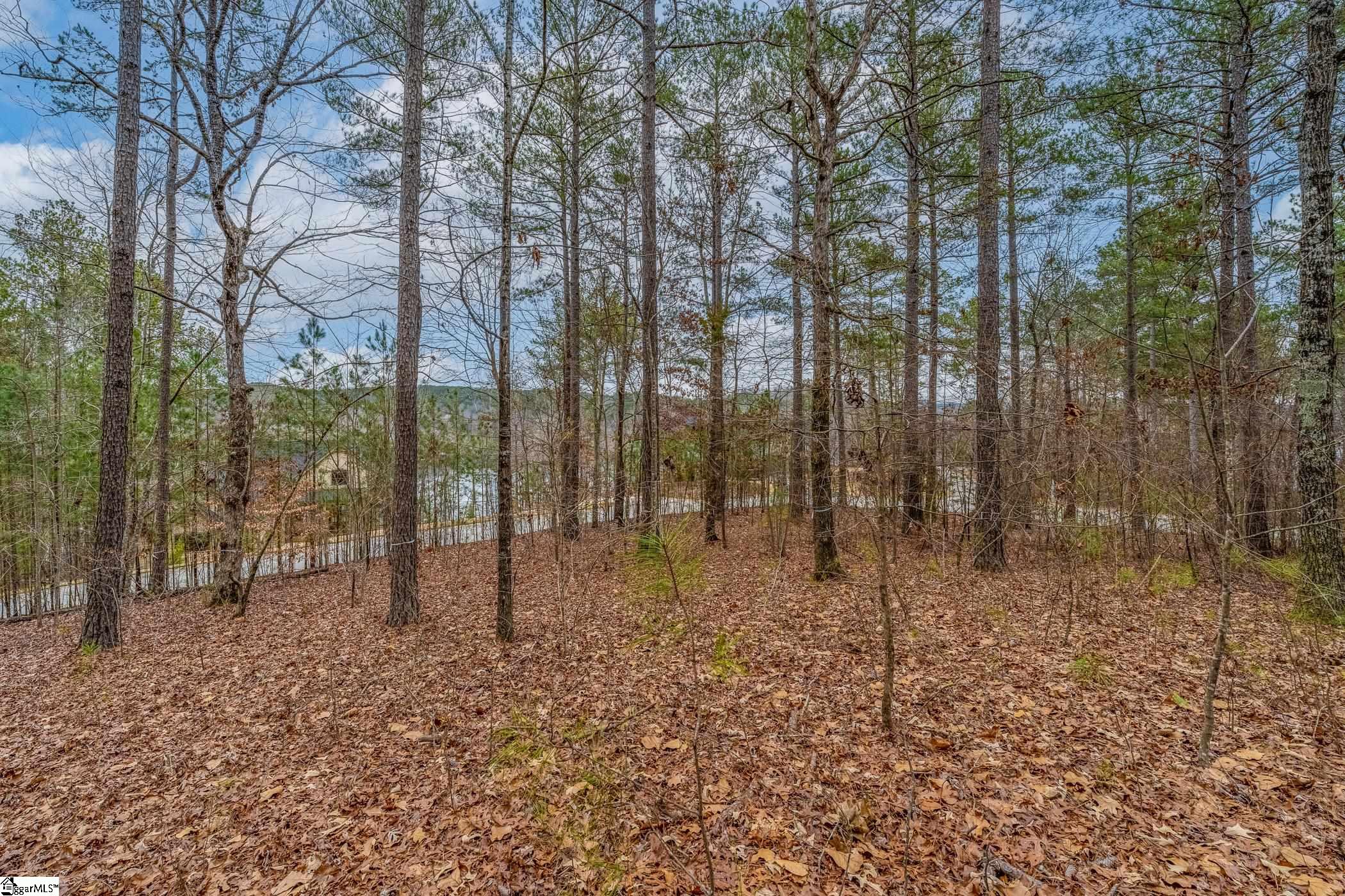 335 Long Cove Trail
