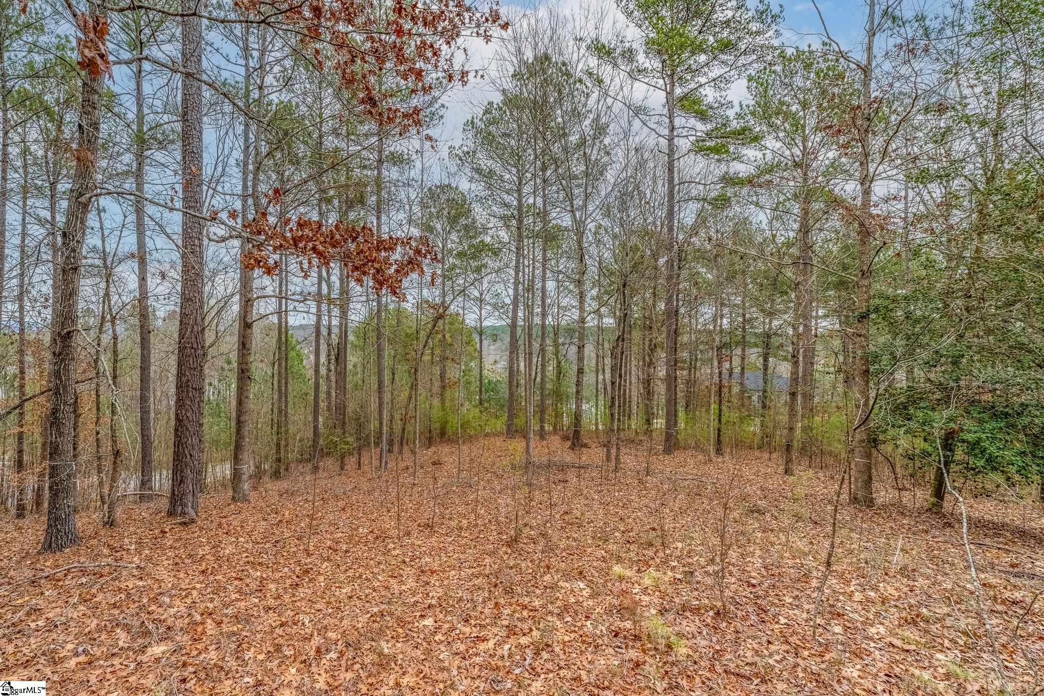 335 Long Cove Trail