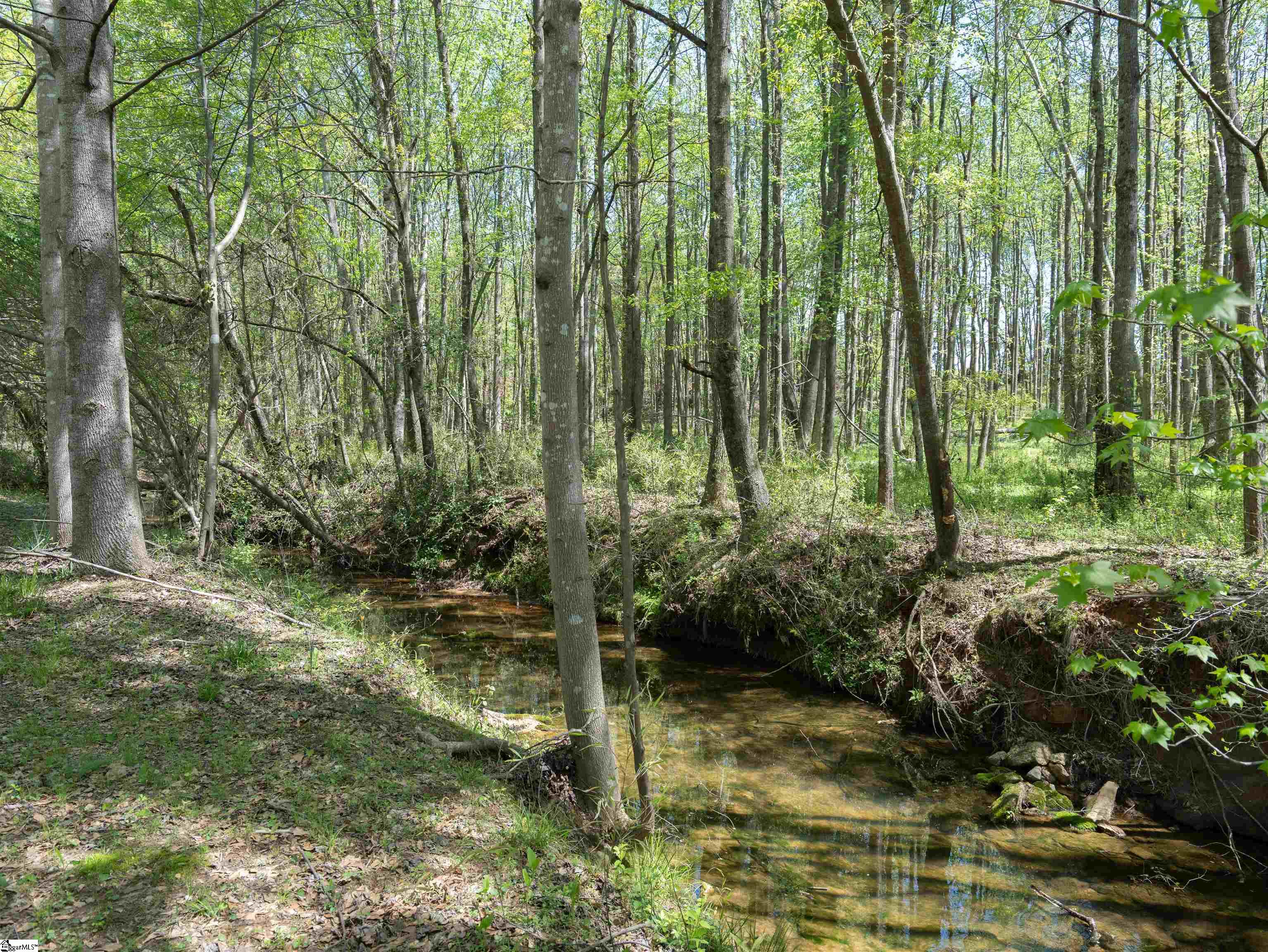 Chesnee, South Carolina 29323, United States, 4 Bedrooms Bedrooms, ,2 BathroomsBathrooms,Residential,Active,109886