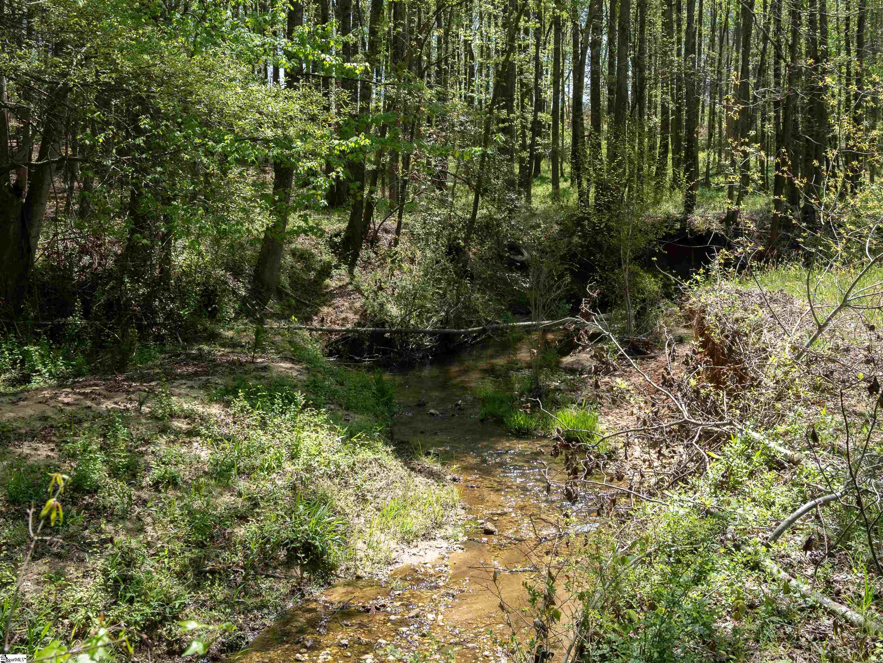 Chesnee, South Carolina 29323, United States, 4 Bedrooms Bedrooms, ,2 BathroomsBathrooms,Residential,Active,109886