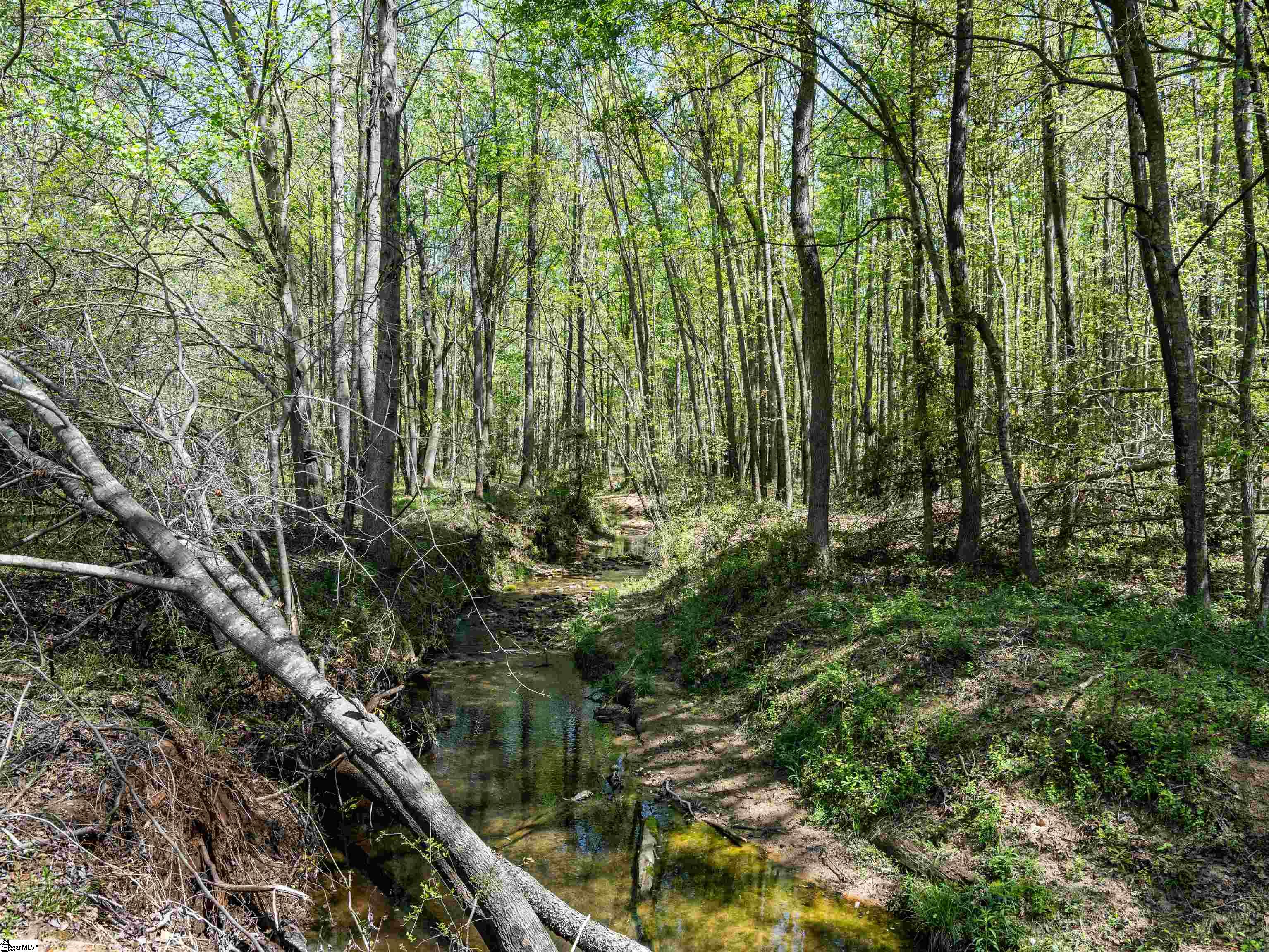 Chesnee, South Carolina 29323, United States, 4 Bedrooms Bedrooms, ,2 BathroomsBathrooms,Residential,Active,109886