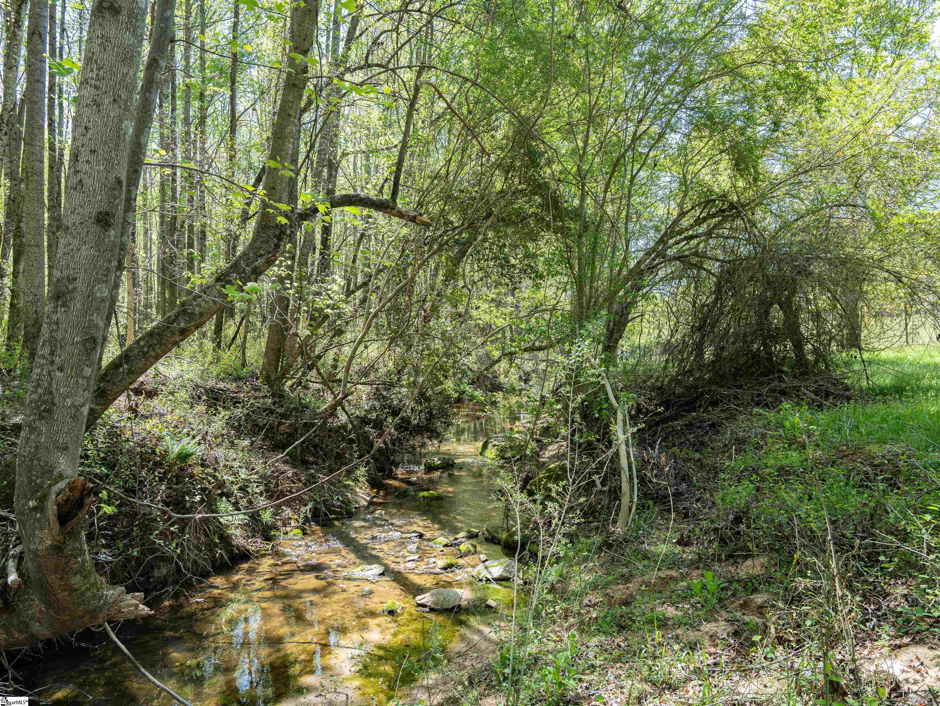 Chesnee, South Carolina 29323, United States, 4 Bedrooms Bedrooms, ,2 BathroomsBathrooms,Residential,Active,109886