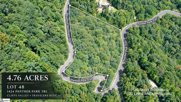 1424 PANTHER PARK TRL, TRAVELERS REST, SC 29690 - Image a2156cd0fe52f40ca50cdbbf2dfb013a/1504528647