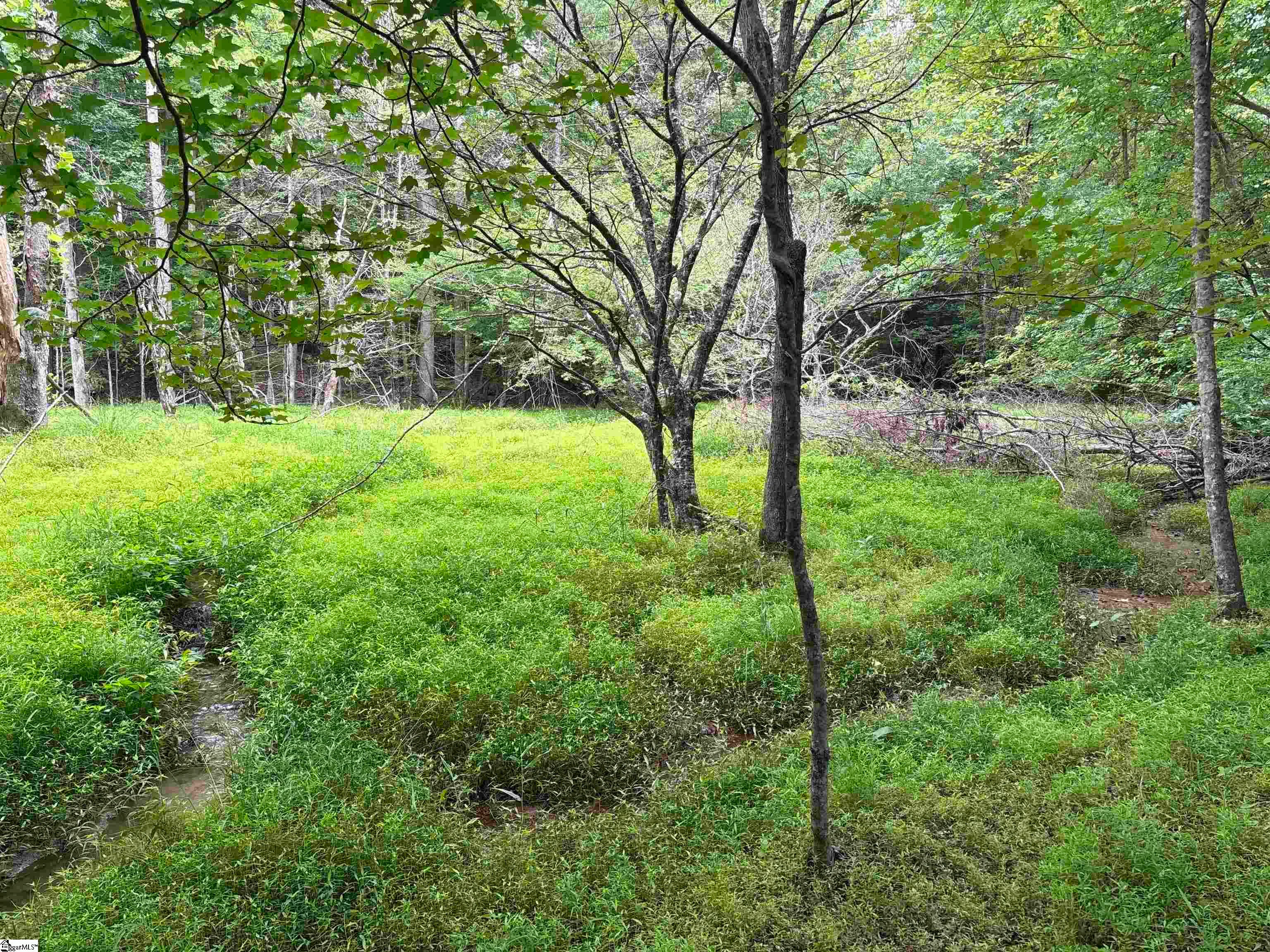 1087 Bobby Faucette Road, Jonesville, SC, 29353