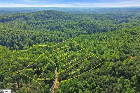 00 Burns Road Travelers Rest SC 29690