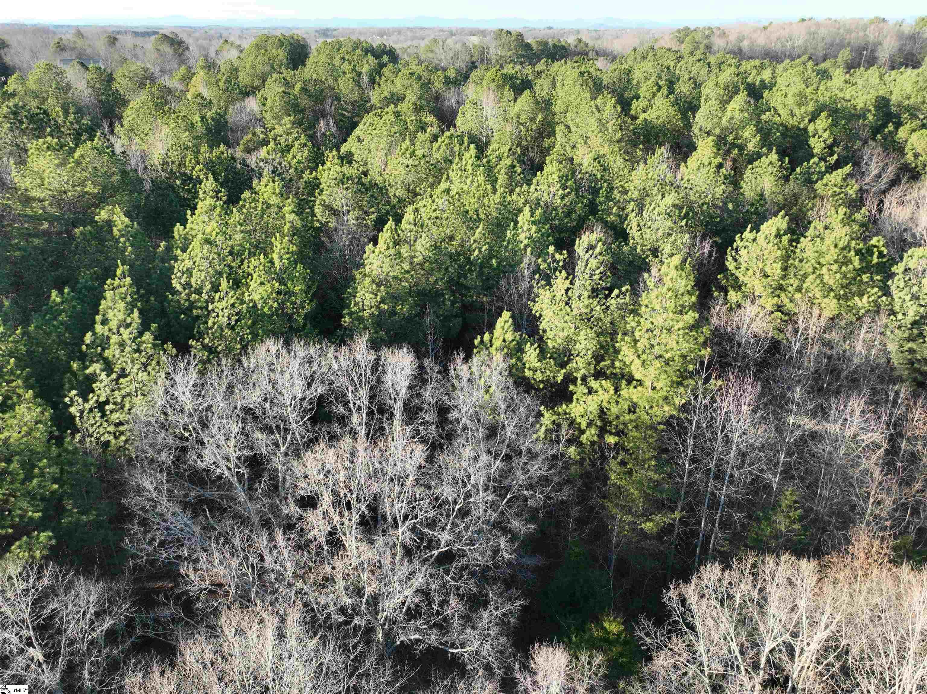 6620 Liberty Highway