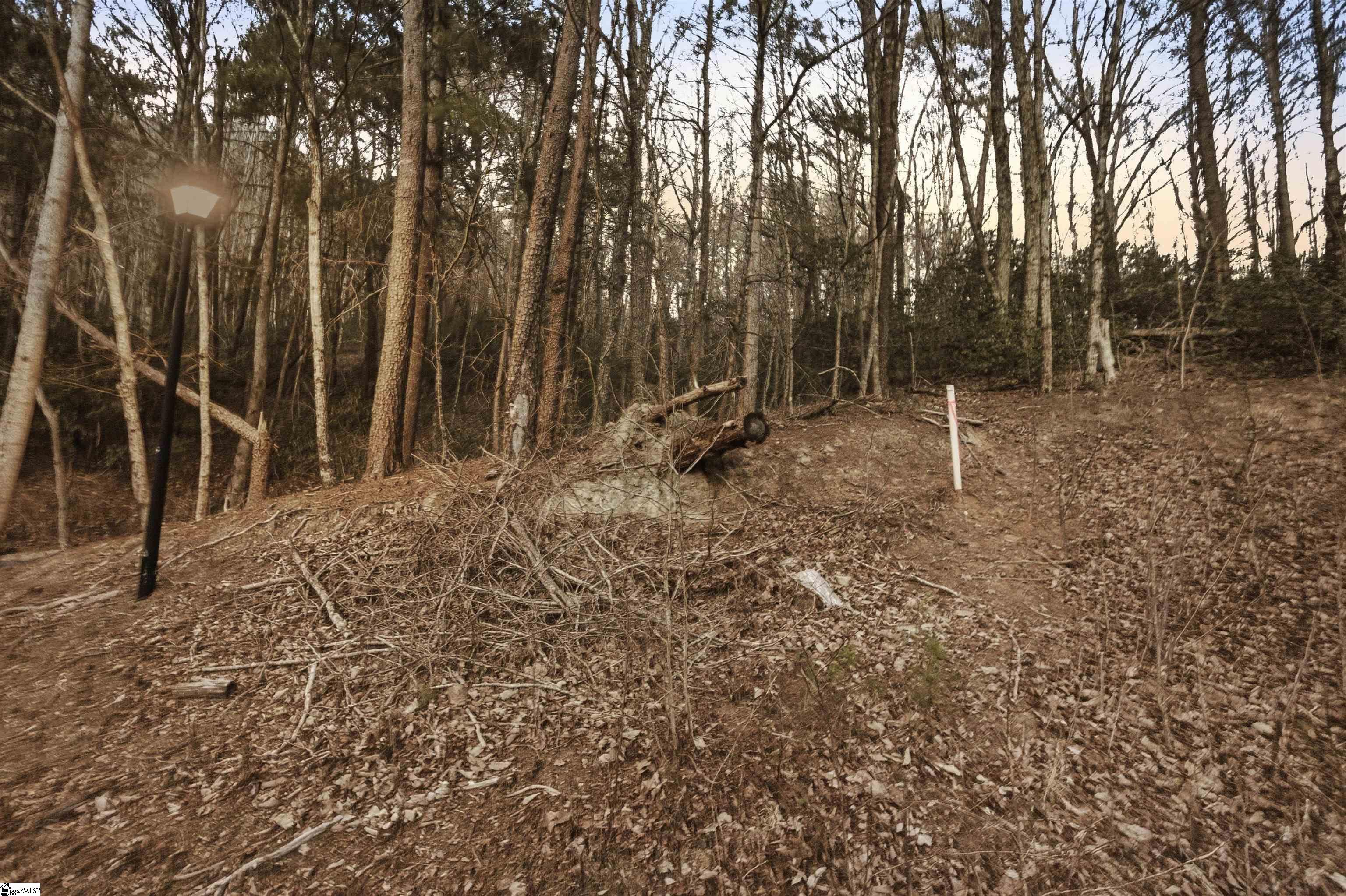 Hidden Glory Drive Lot 17