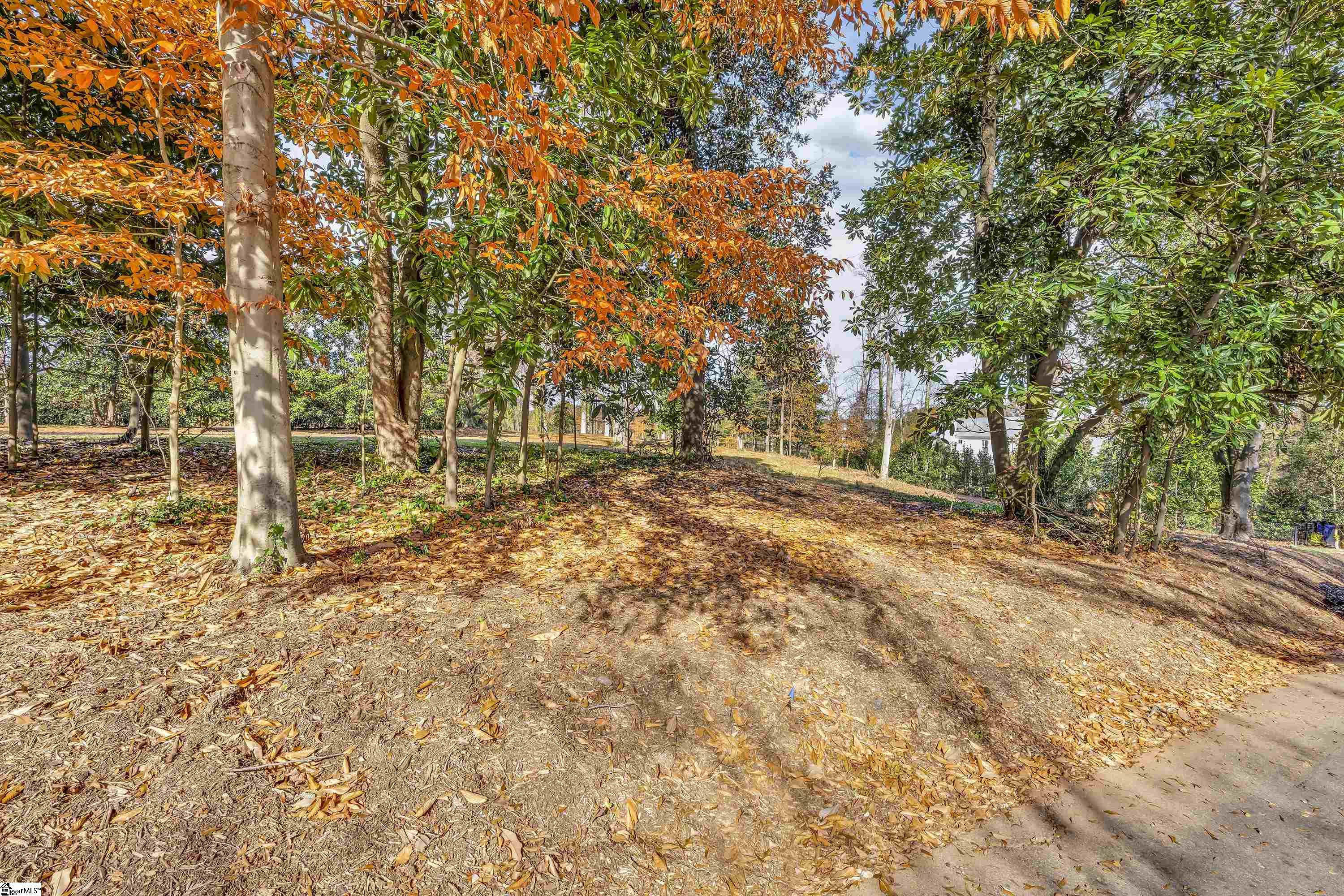19 Forest View Drive Lot #1
