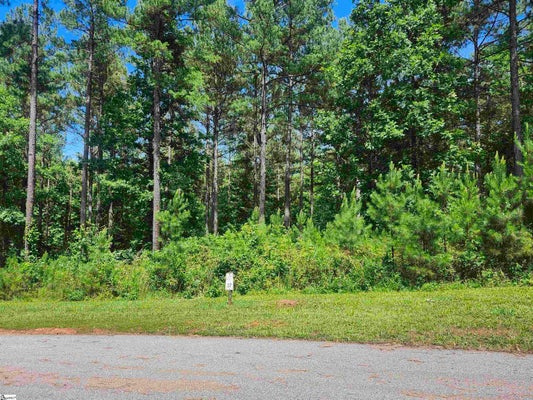HIGH RD, SIX MILE, SC 29682 - Image ac31b27ff96e84aa9dd3b70602dfd10f/2447974754