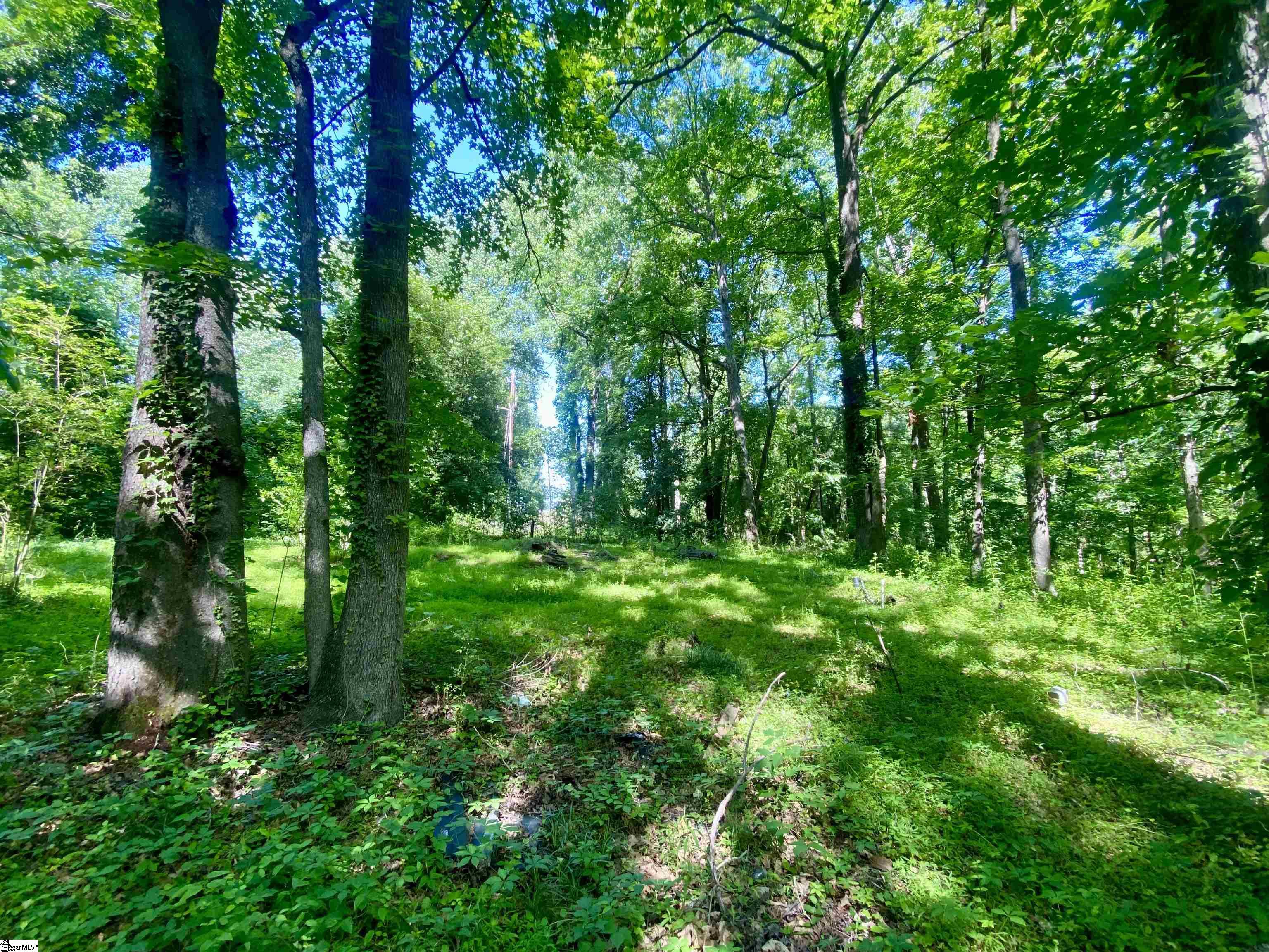 Greer, South Carolina 29651, United States, ,Land,Active,135658