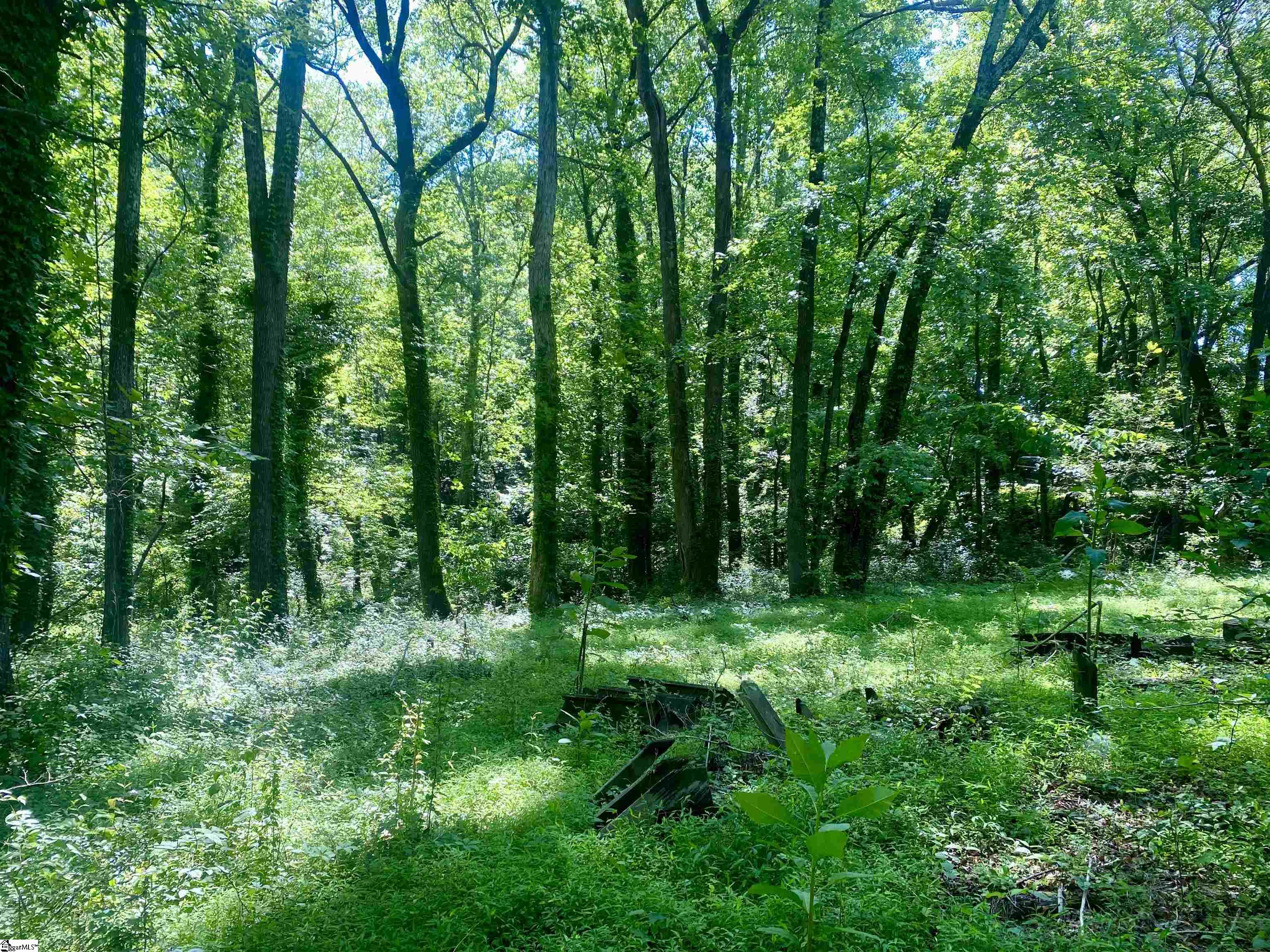 Greer, South Carolina 29651, United States, ,Land,Active,135658