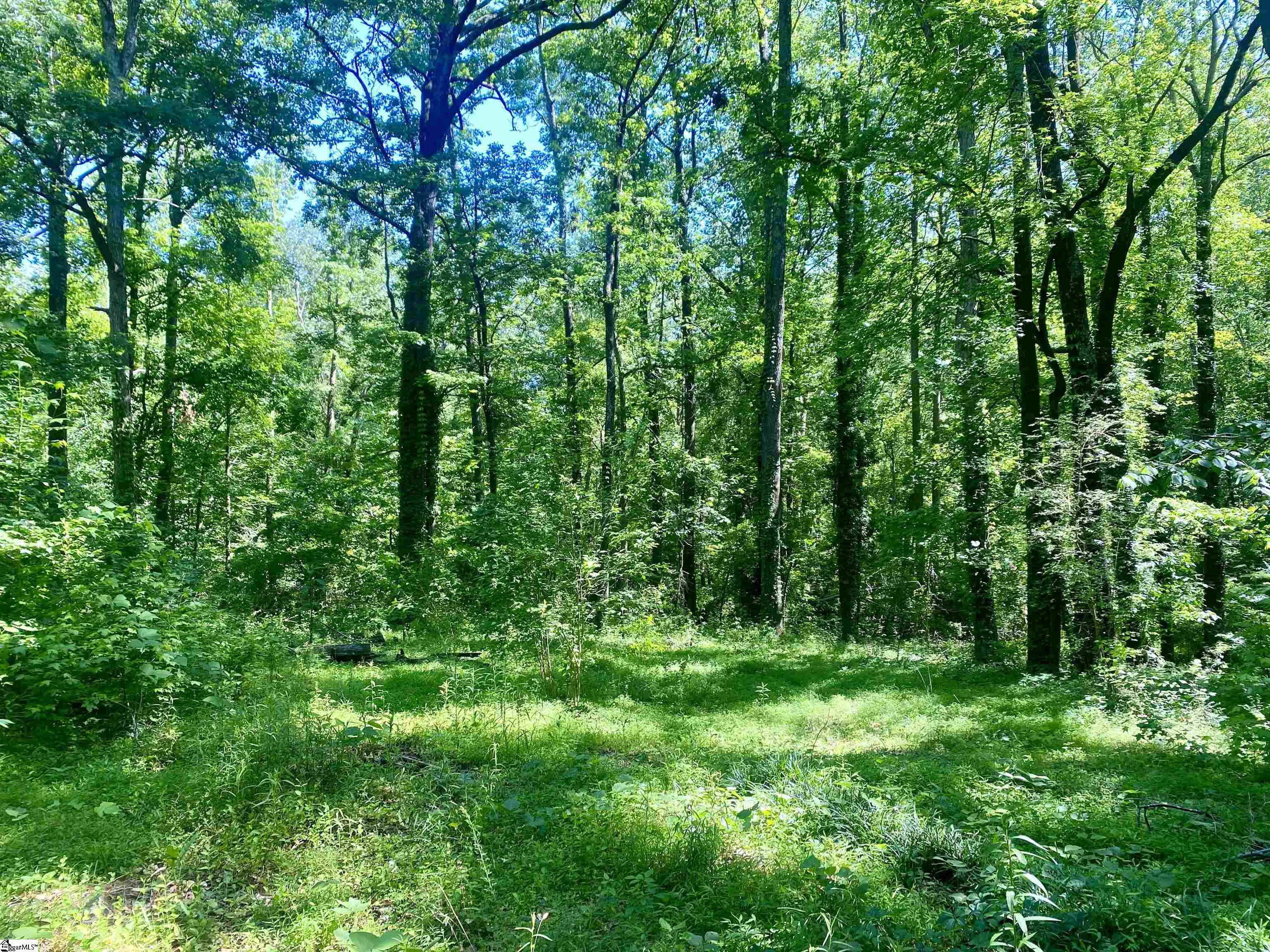 Greer, South Carolina 29651, United States, ,Land,Active,135658