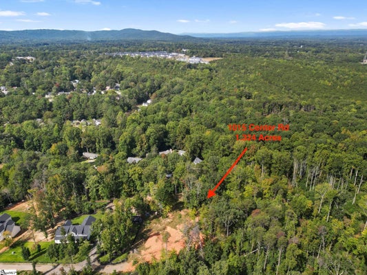 1015 CENTER RD, TAYLORS, SC 29687 - Image b5822b040456196b7c7b0bf9deb2c2dd/3669350010