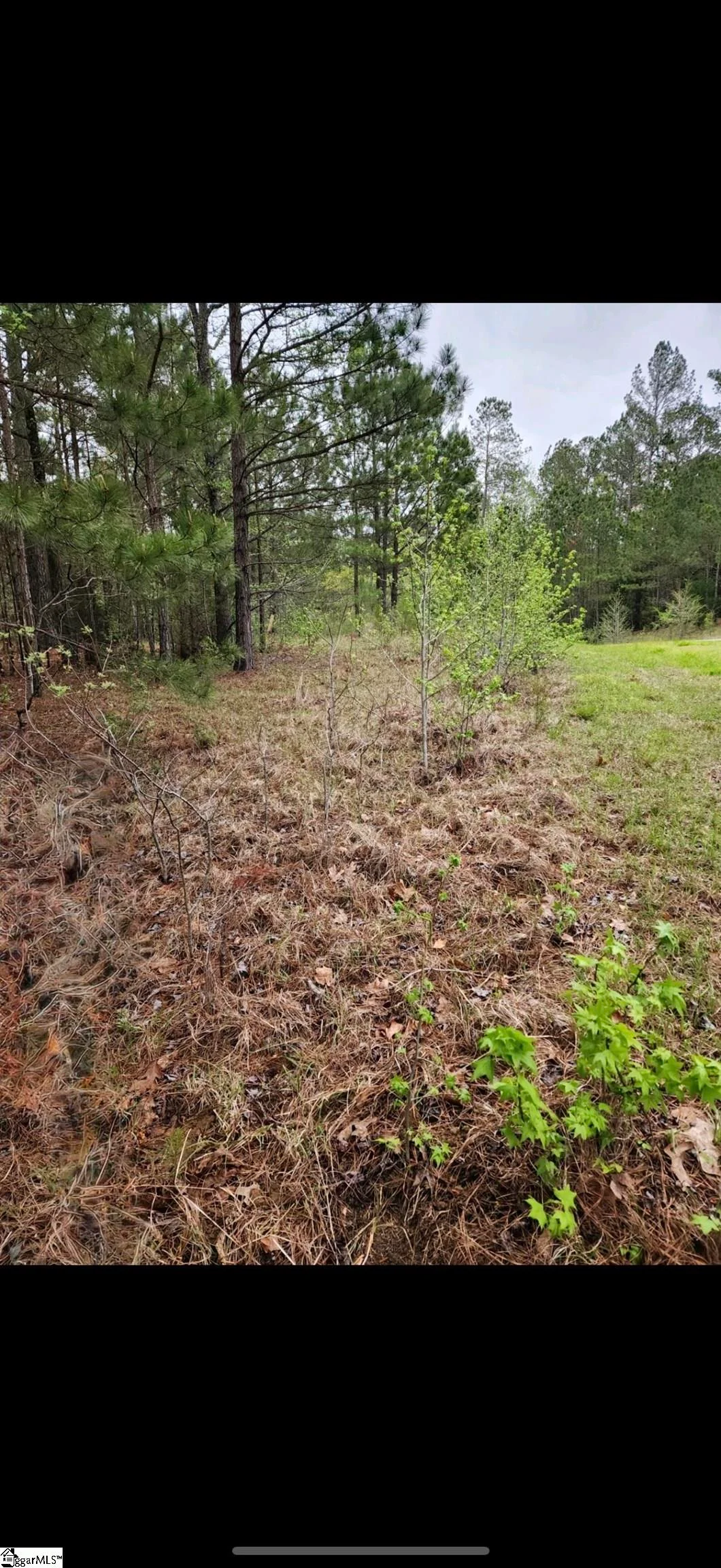 314 Watersedge Drive, Cross Hill, SC, 29332