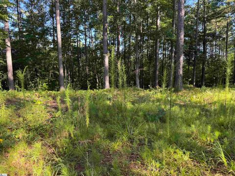 527 Brookgreen Trail Salem SC 29676