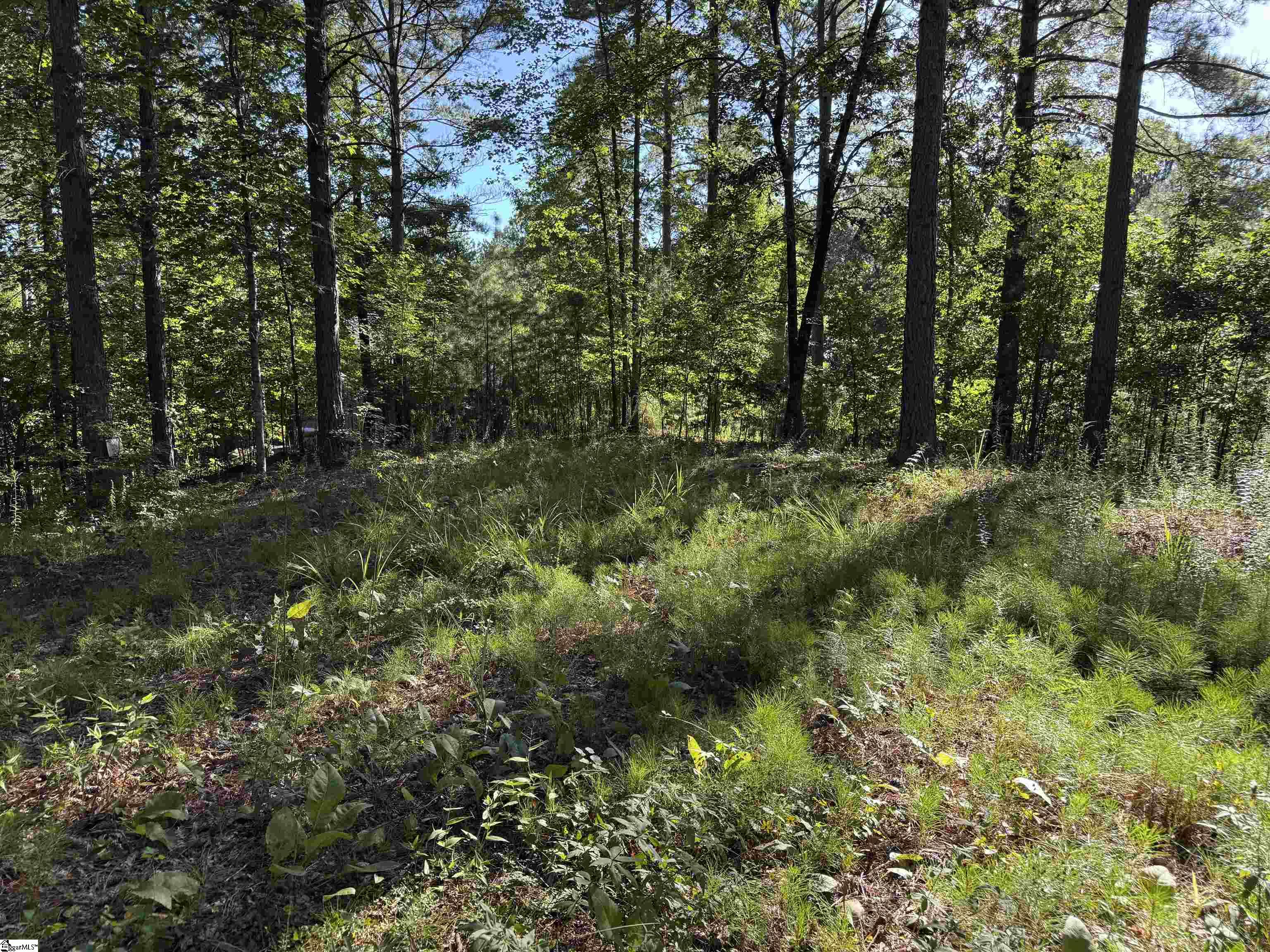 527 Brookgreen Trail