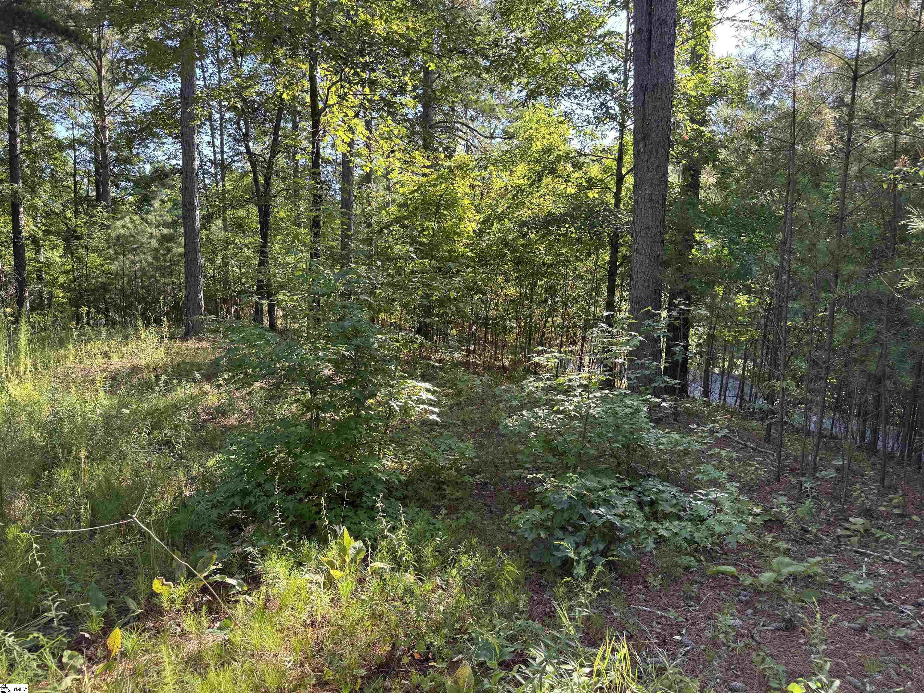 527 Brookgreen Trail