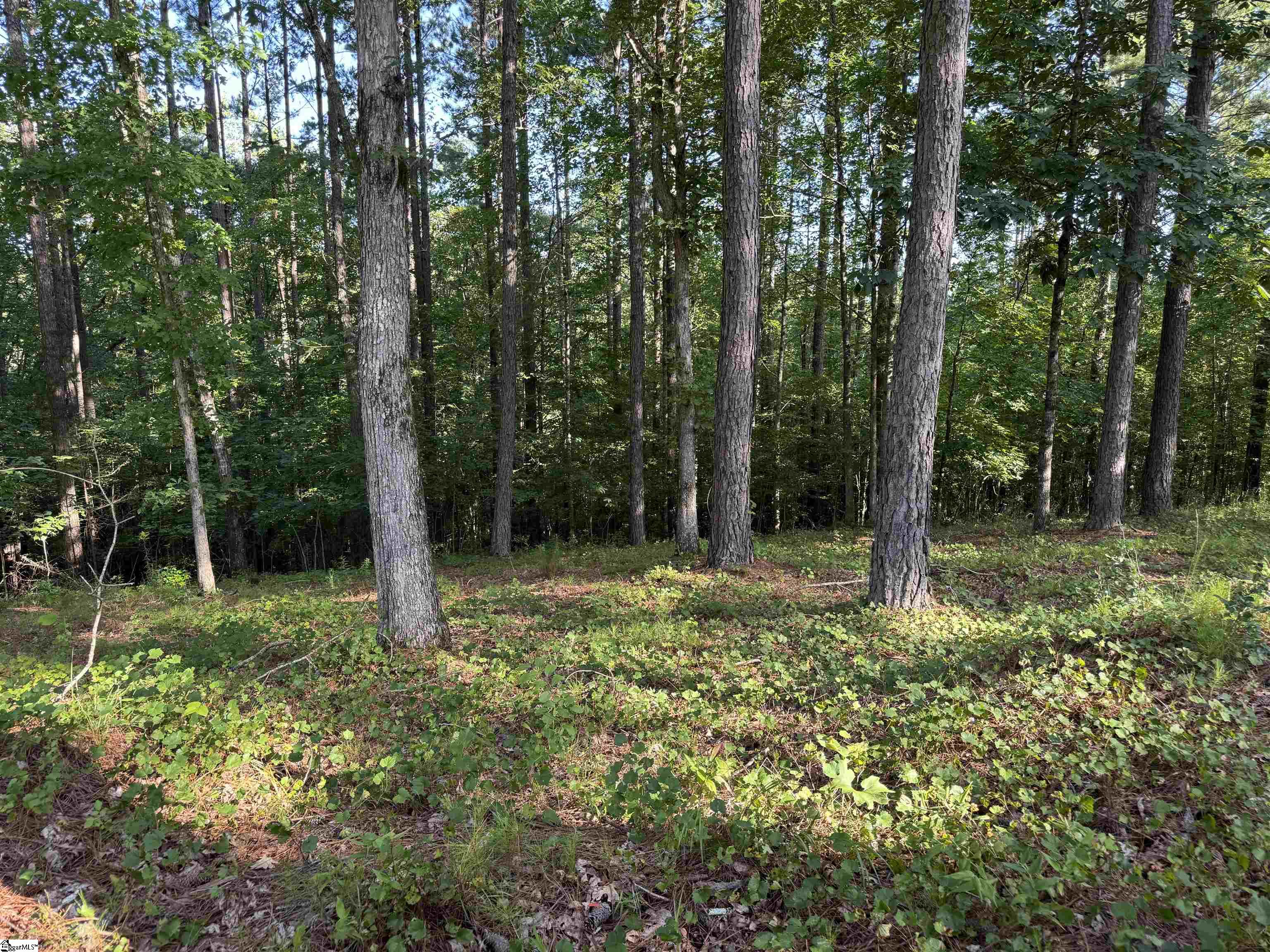 527 Brookgreen Trail