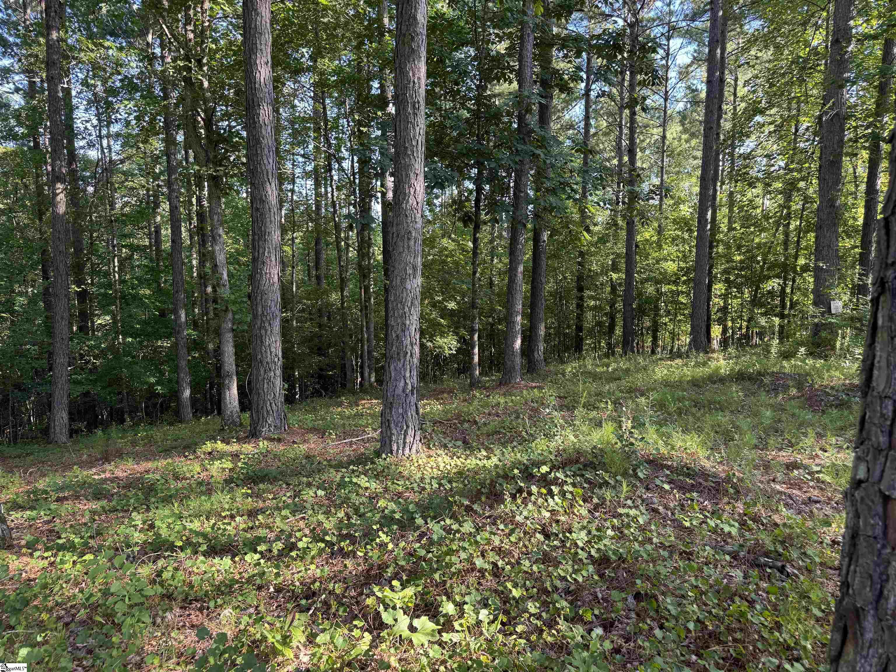 527 Brookgreen Trail