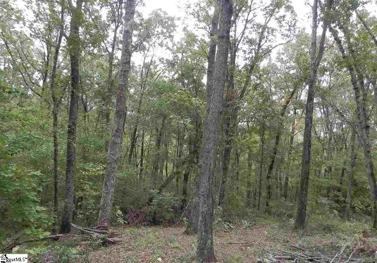 27 Northslope View Drive