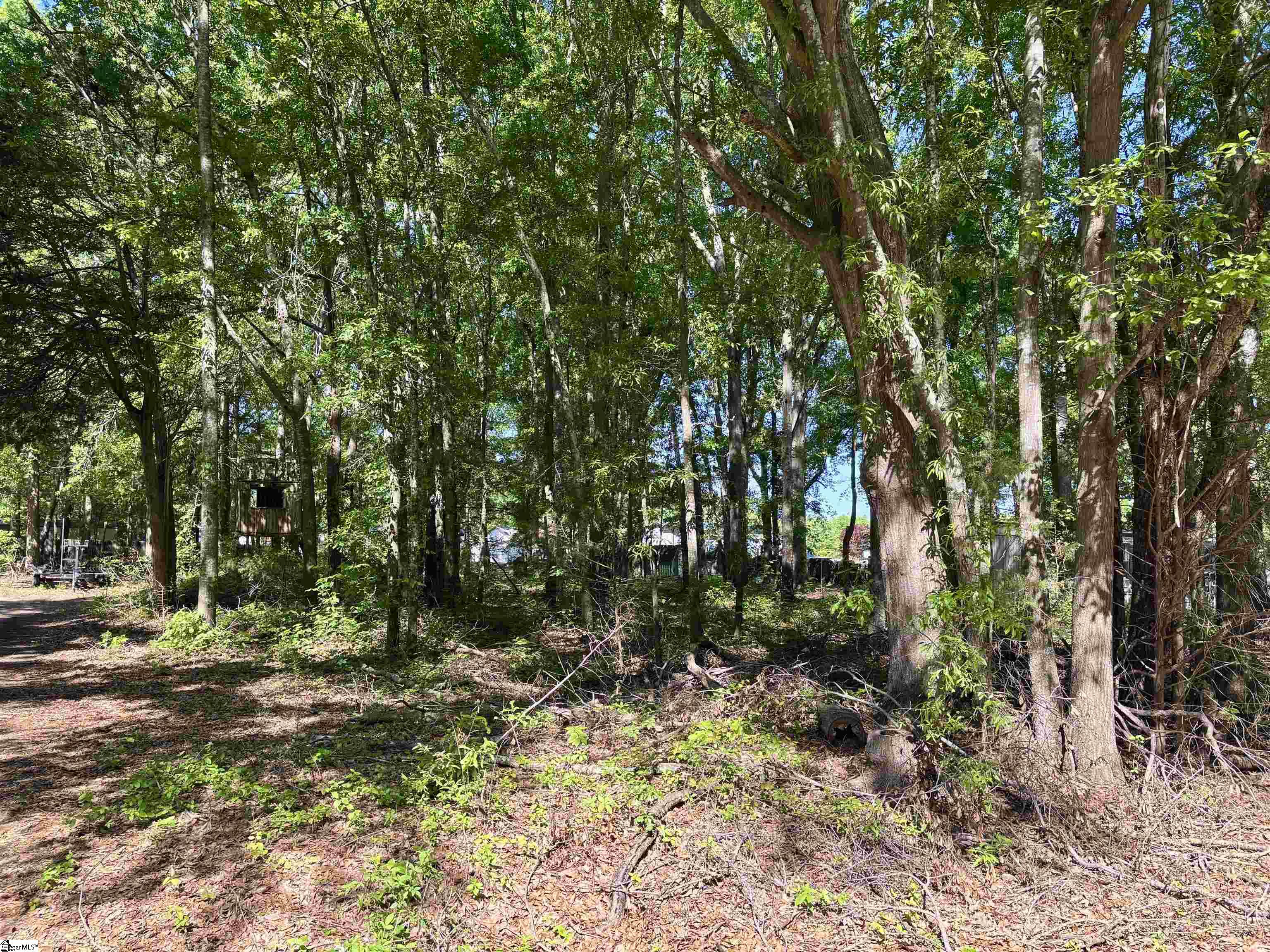 Pelzer, South Carolina 29669, United States, ,Land,Active,118774