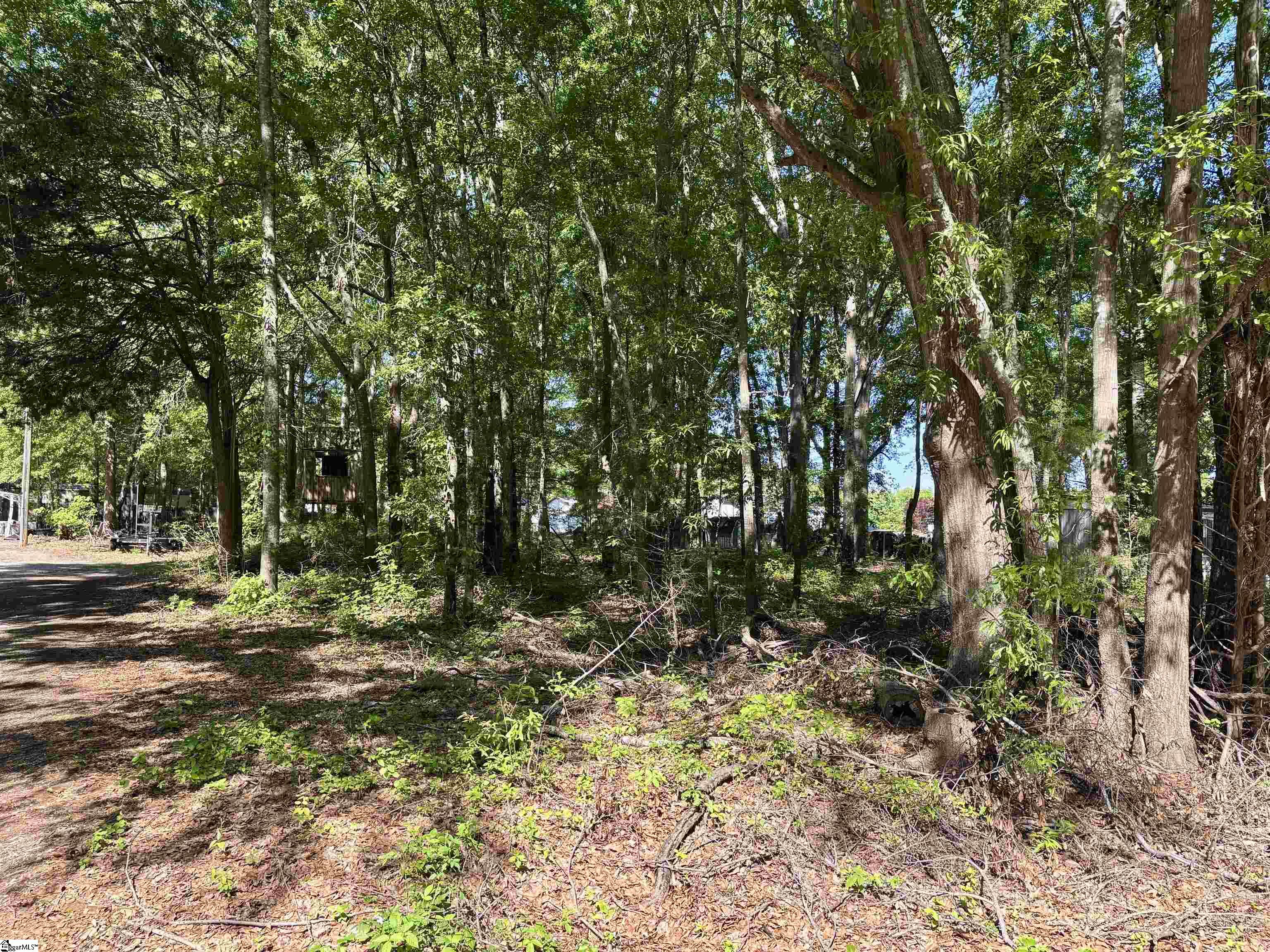 Pelzer, South Carolina 29669, United States, ,Land,Active,118774