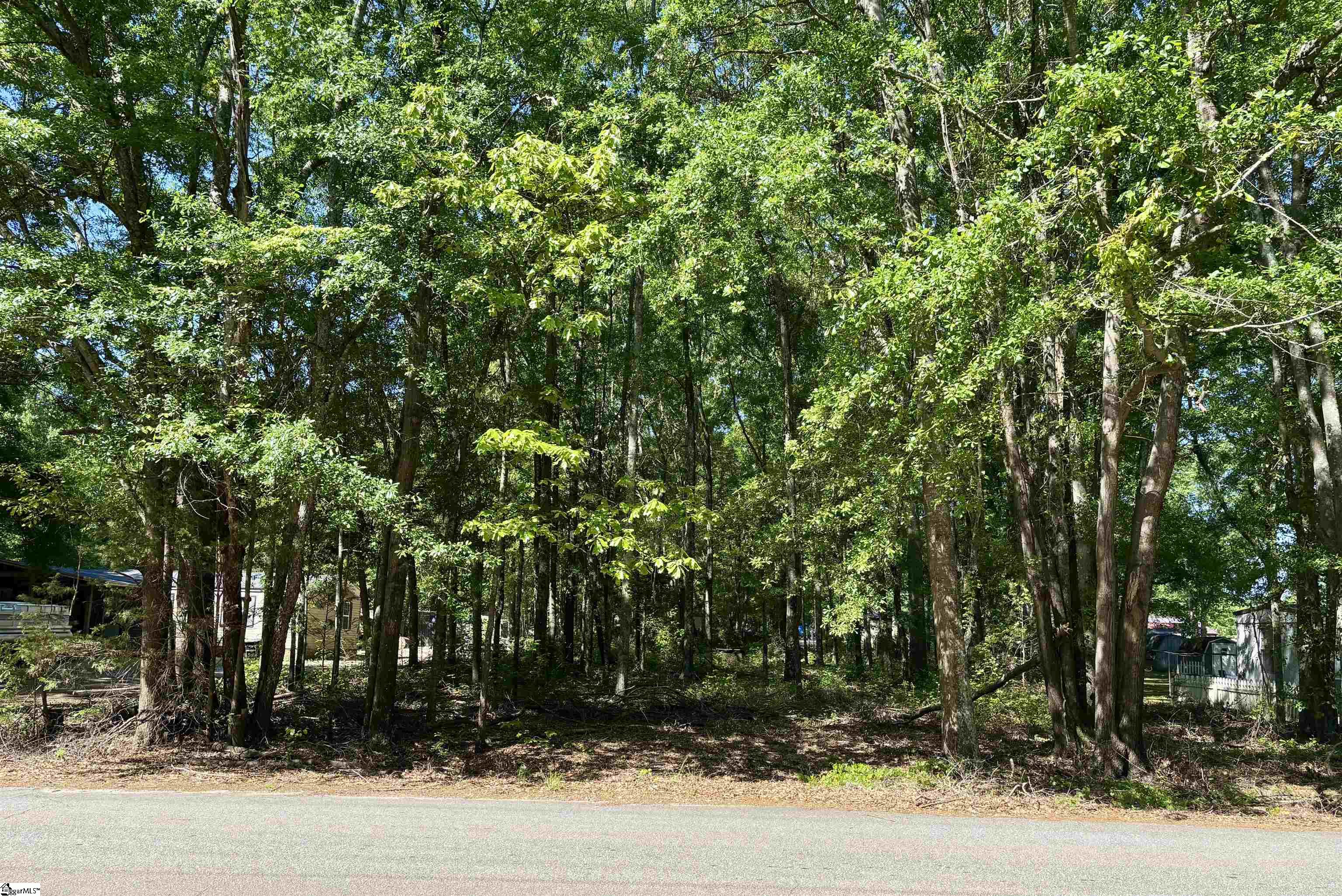 Pelzer, South Carolina 29669, United States, ,Land,Active,118774