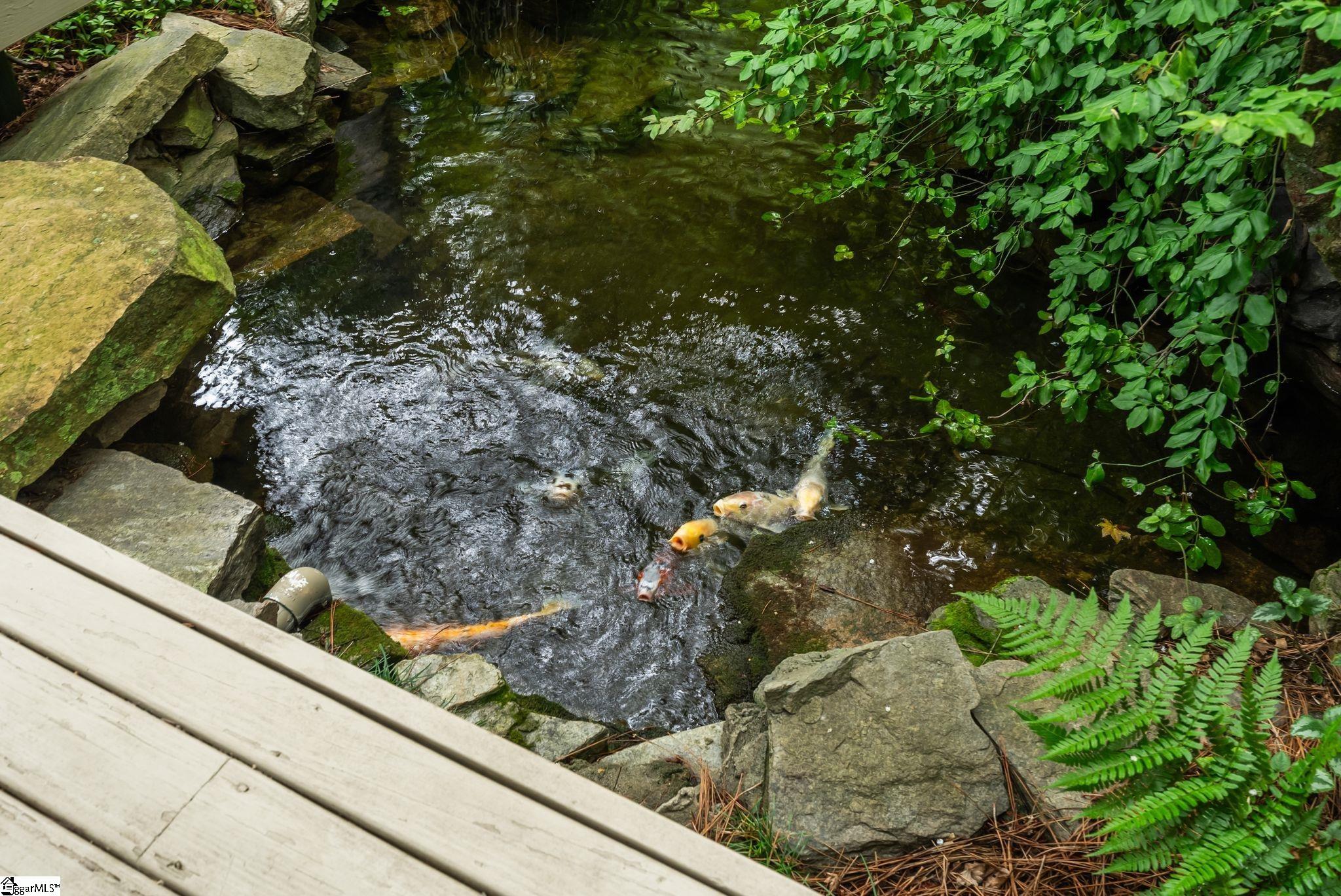 110 Huckleberry Ridge