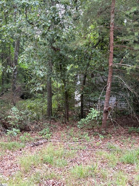 170 Railroad Street Liberty SC 29657