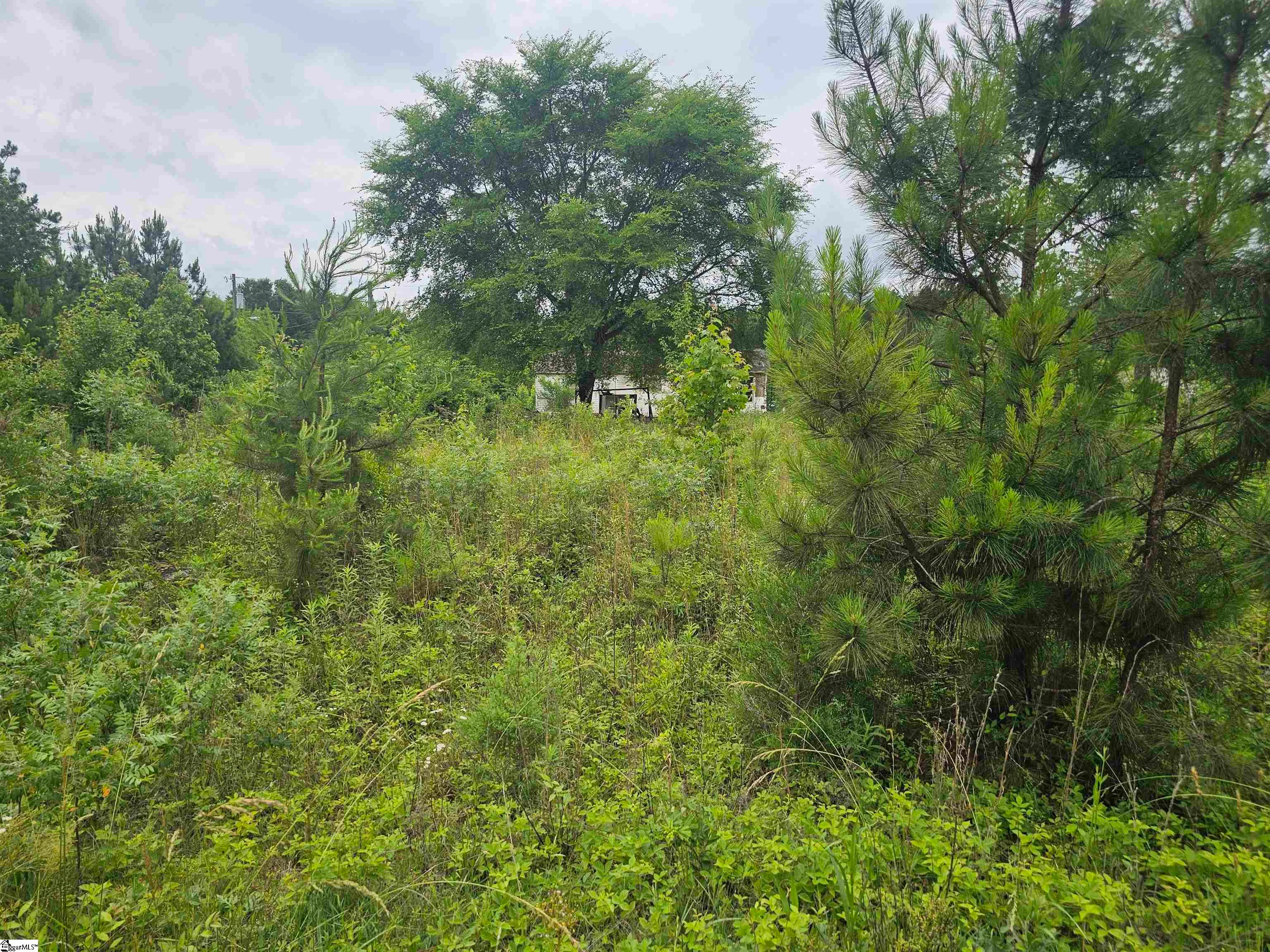 348 Dillon Drive