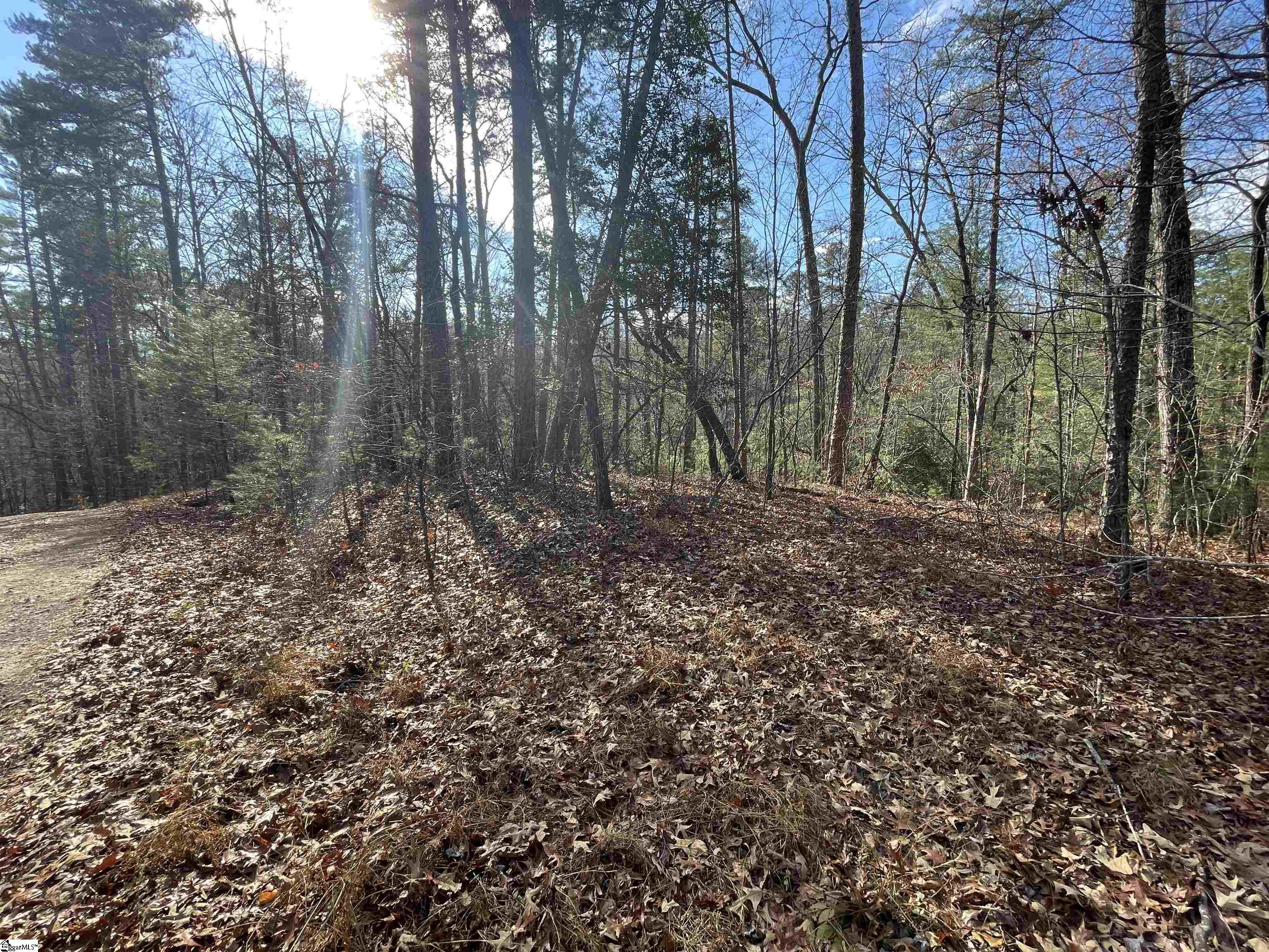 204 Jocassee Glenn Drive