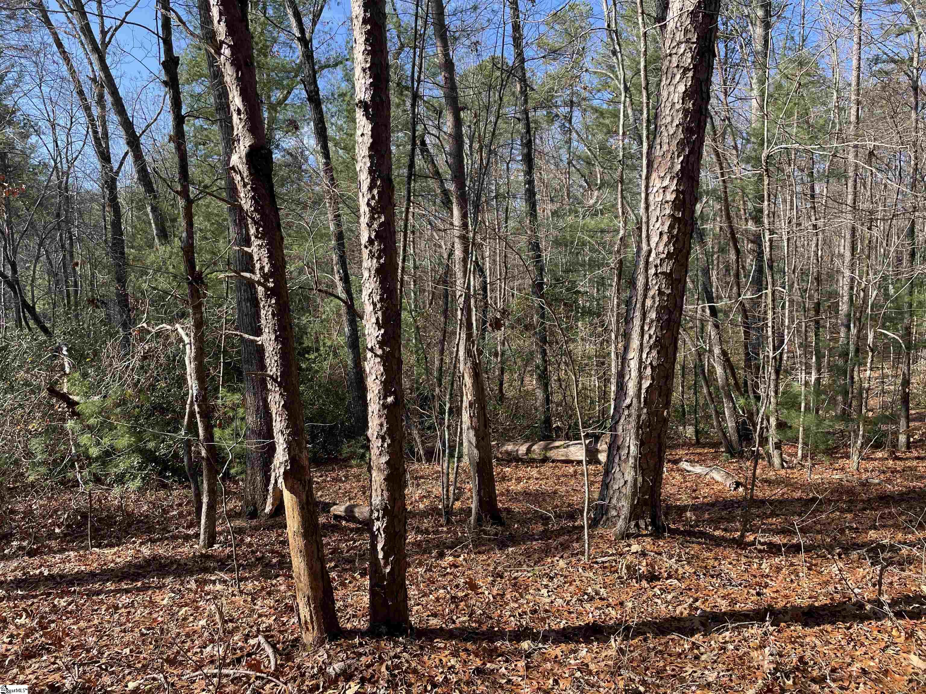 204 Jocassee Glenn Drive