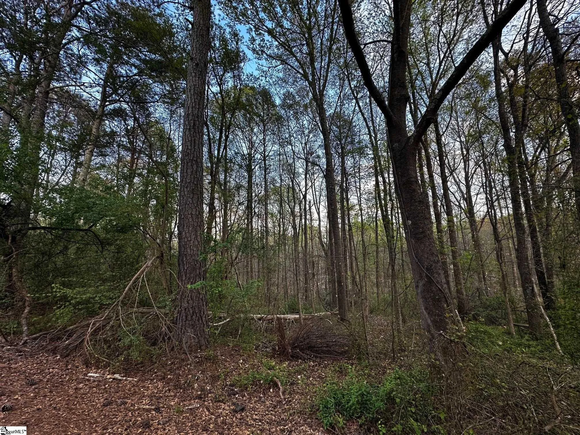 101 Sugarmill Lane