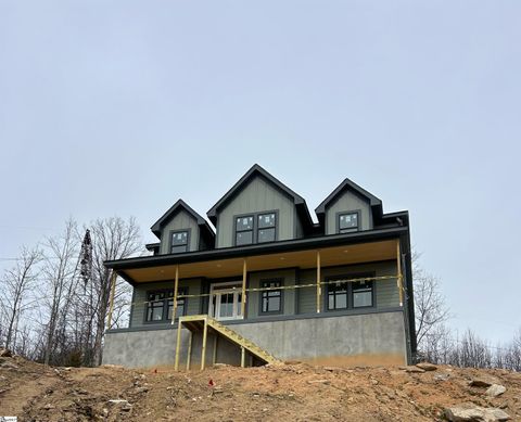 446 N Glassy Mountain Road Landrum SC 29356