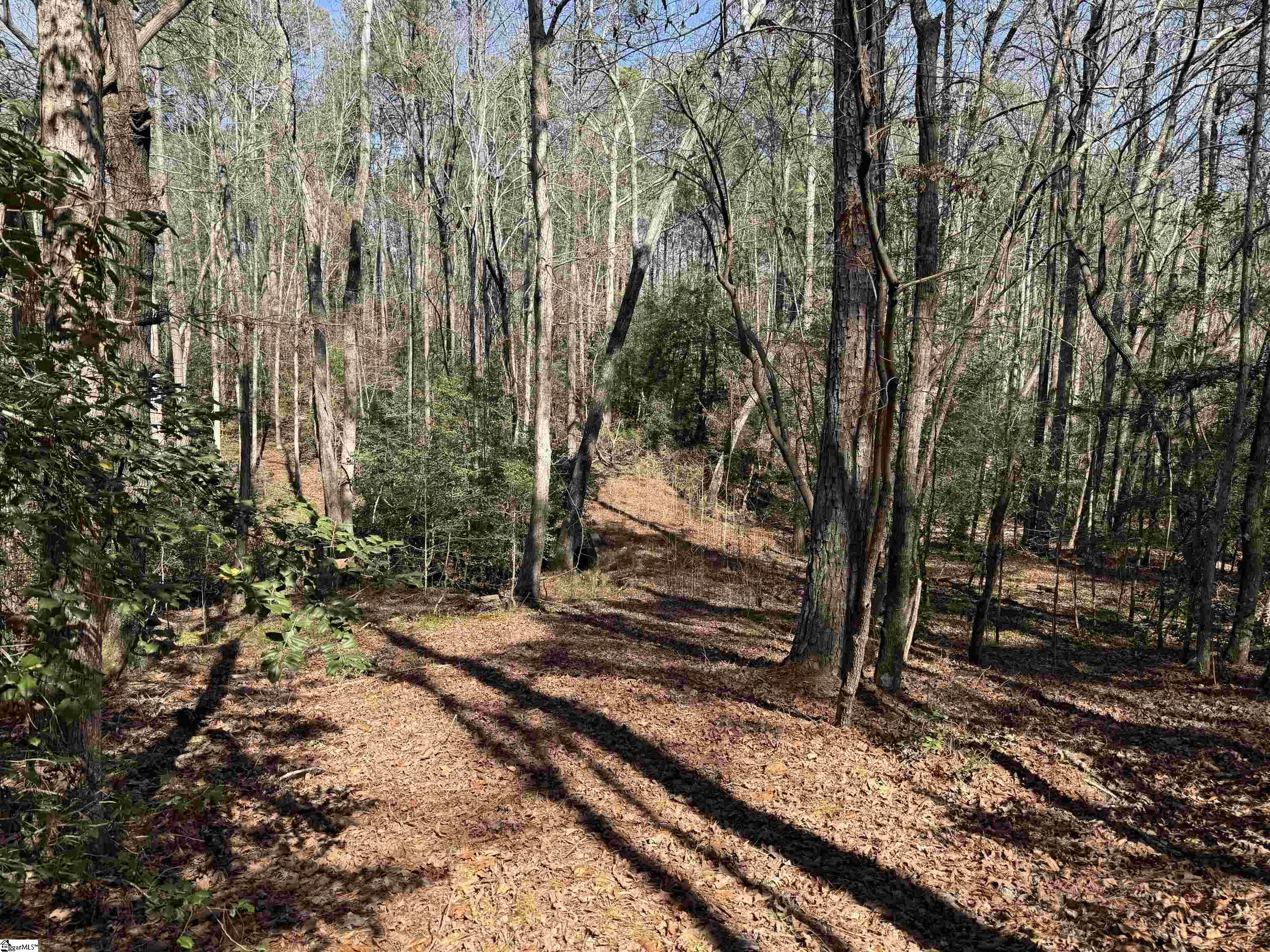 00 Golden Hickory Drive