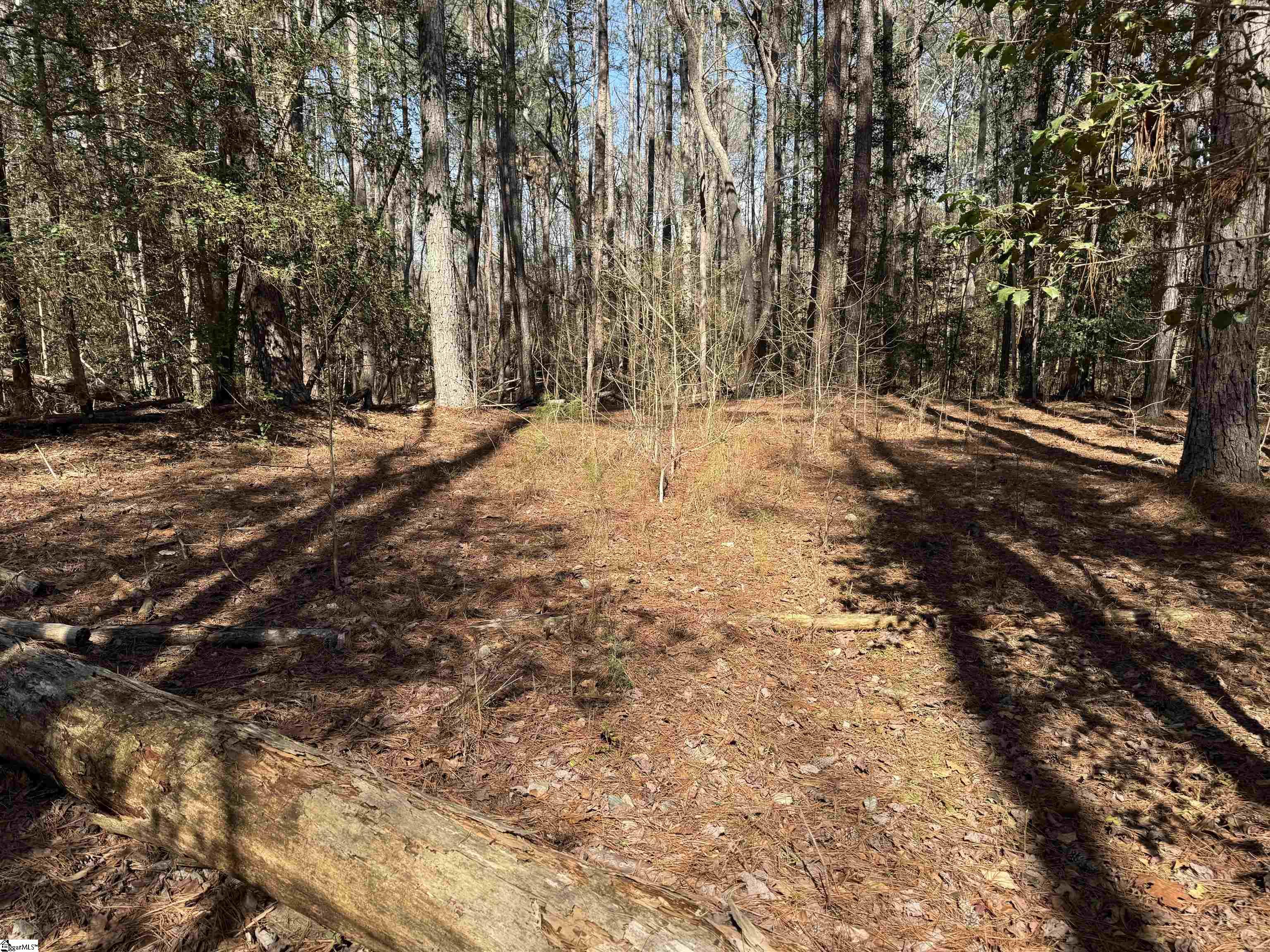 00 Golden Hickory Drive